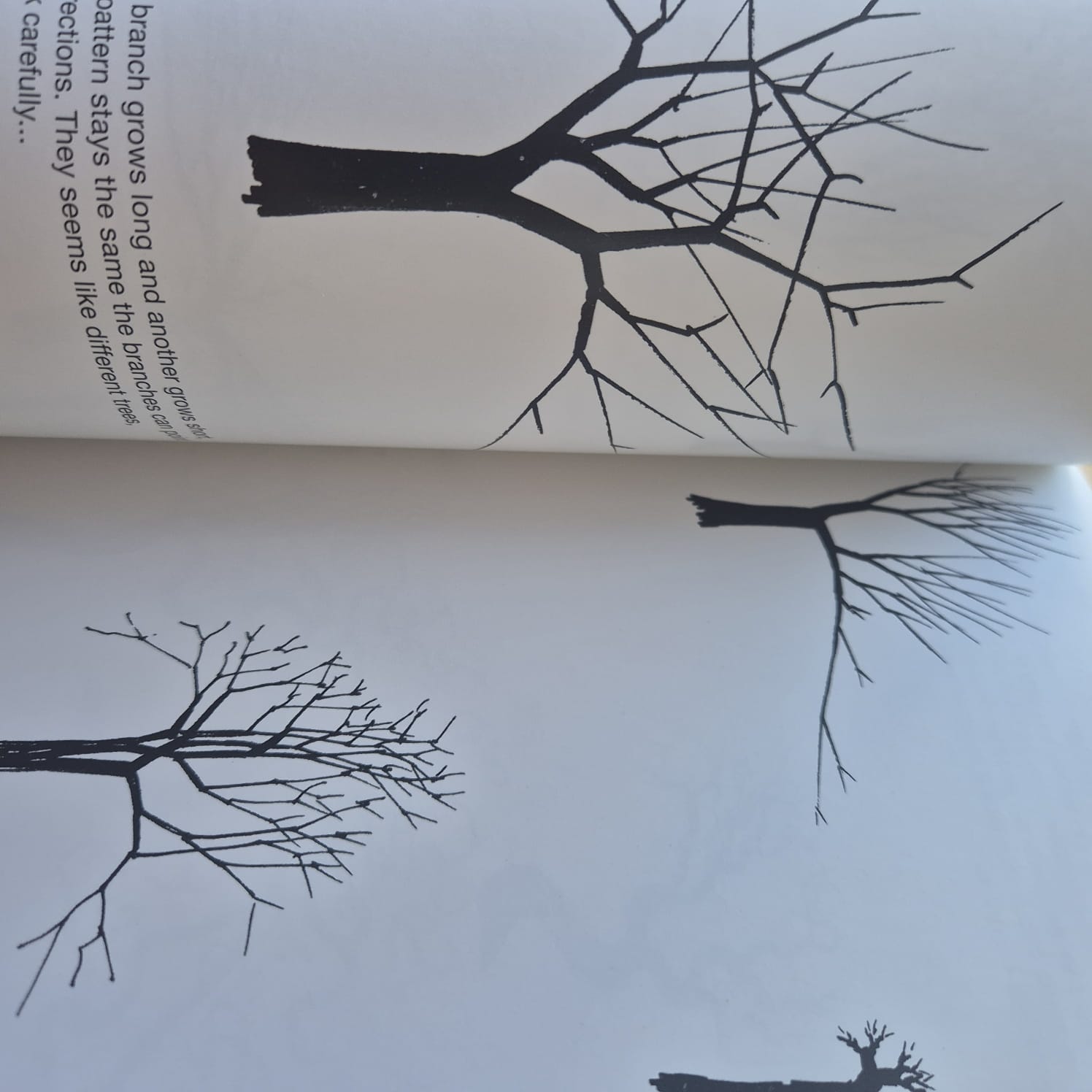 'Drawing a Tree' by Bruno Munari