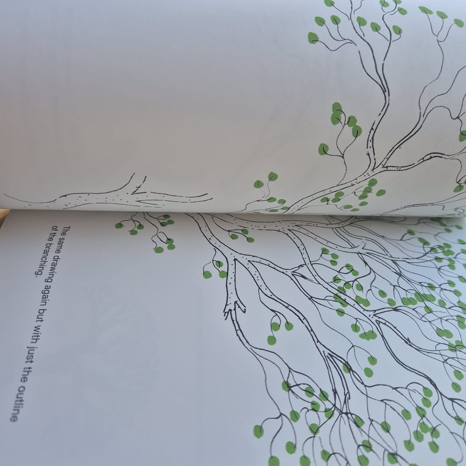 'Drawing a Tree' by Bruno Munari
