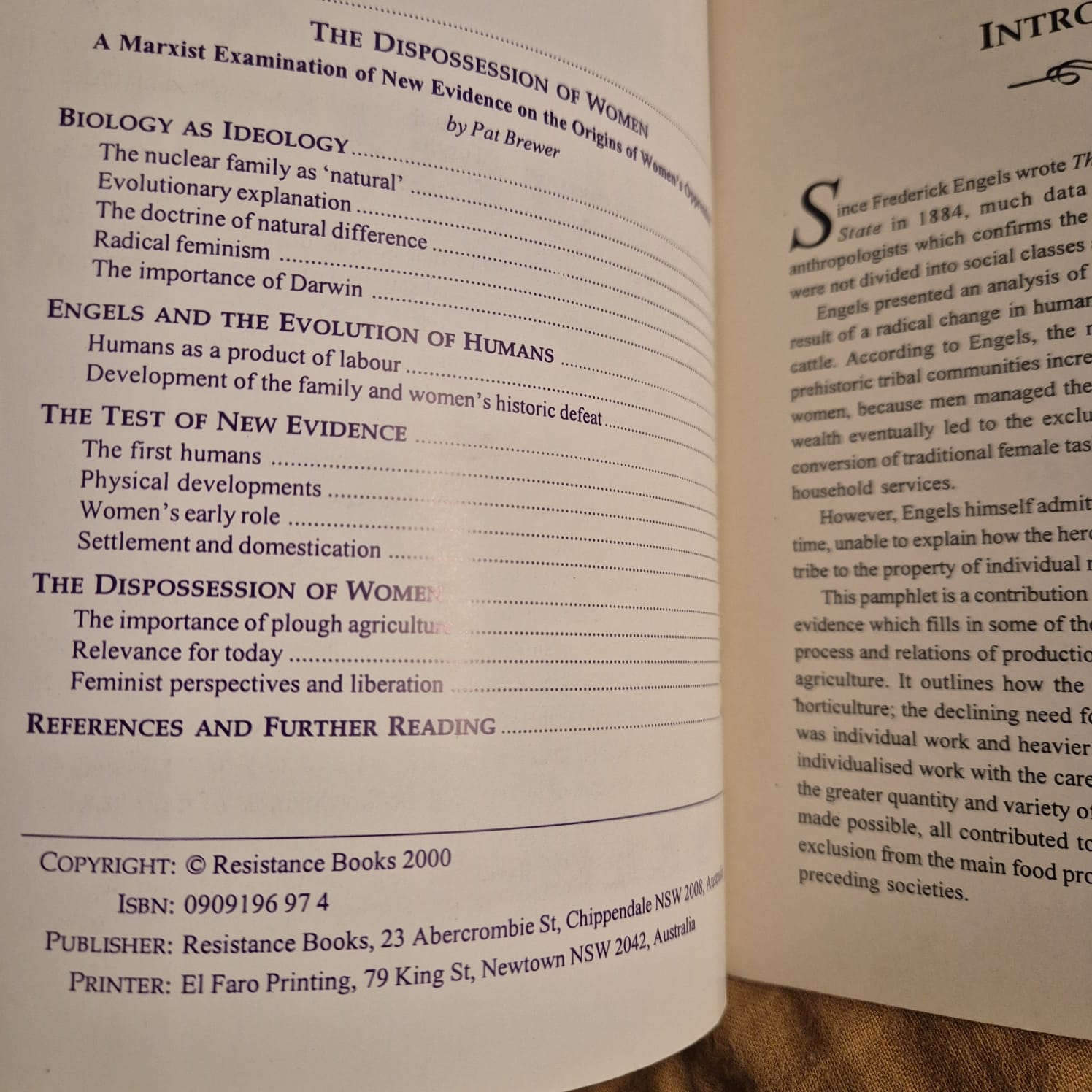 'The Dispossession of Women' by Pat Brewer