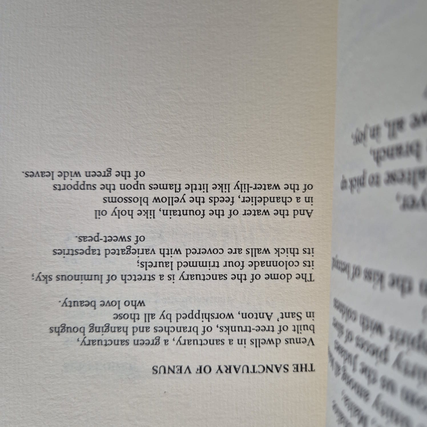 'The Lamplighter: Translations from the Maltese' by Anton Buttigieg