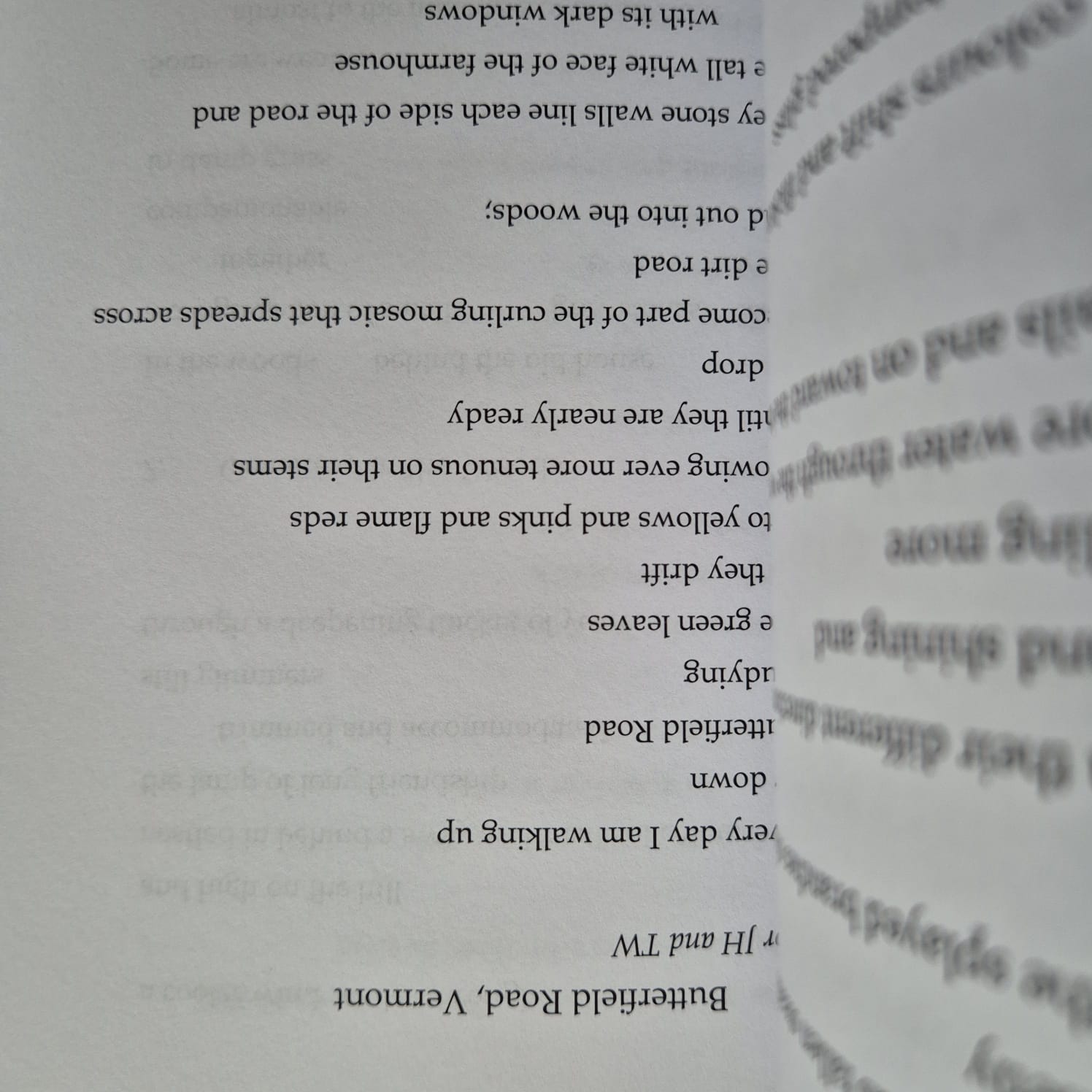 'This Shuttered Eye' by Rose Lucas (signed copy)