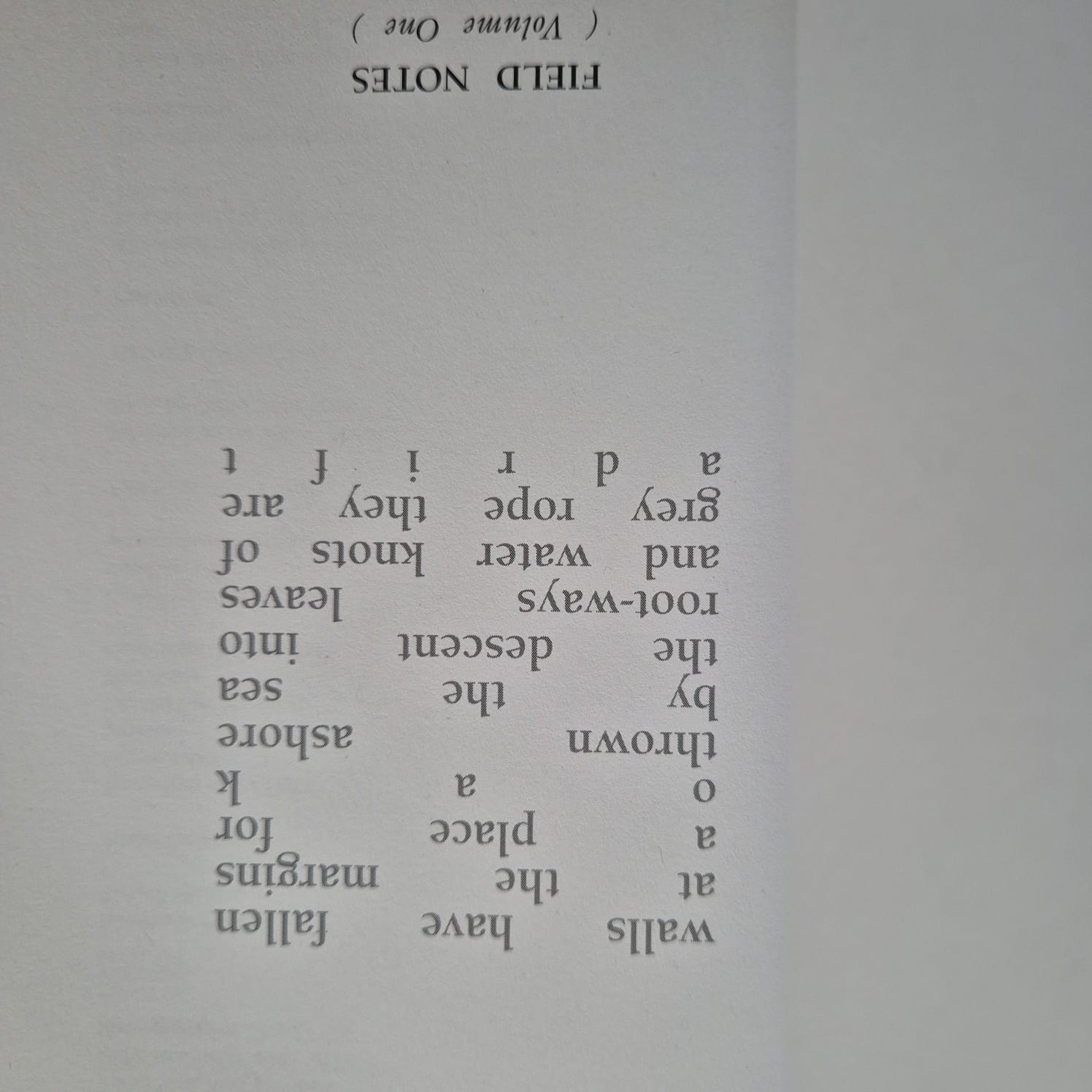 'Field Notes (Volume One)' by Autumn Richardson & Richard Skelton