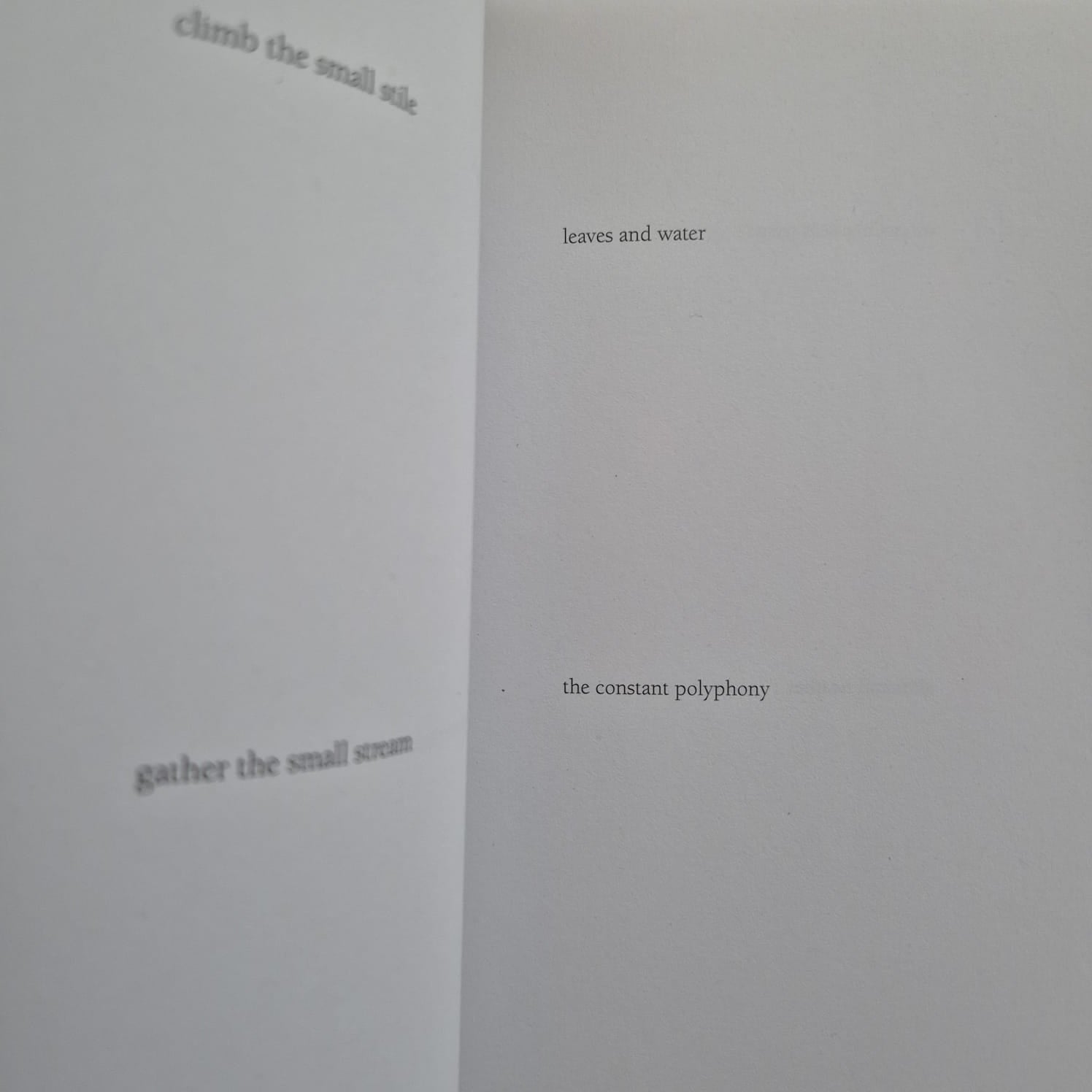 'Field Notes (Volume One)' by Autumn Richardson & Richard Skelton