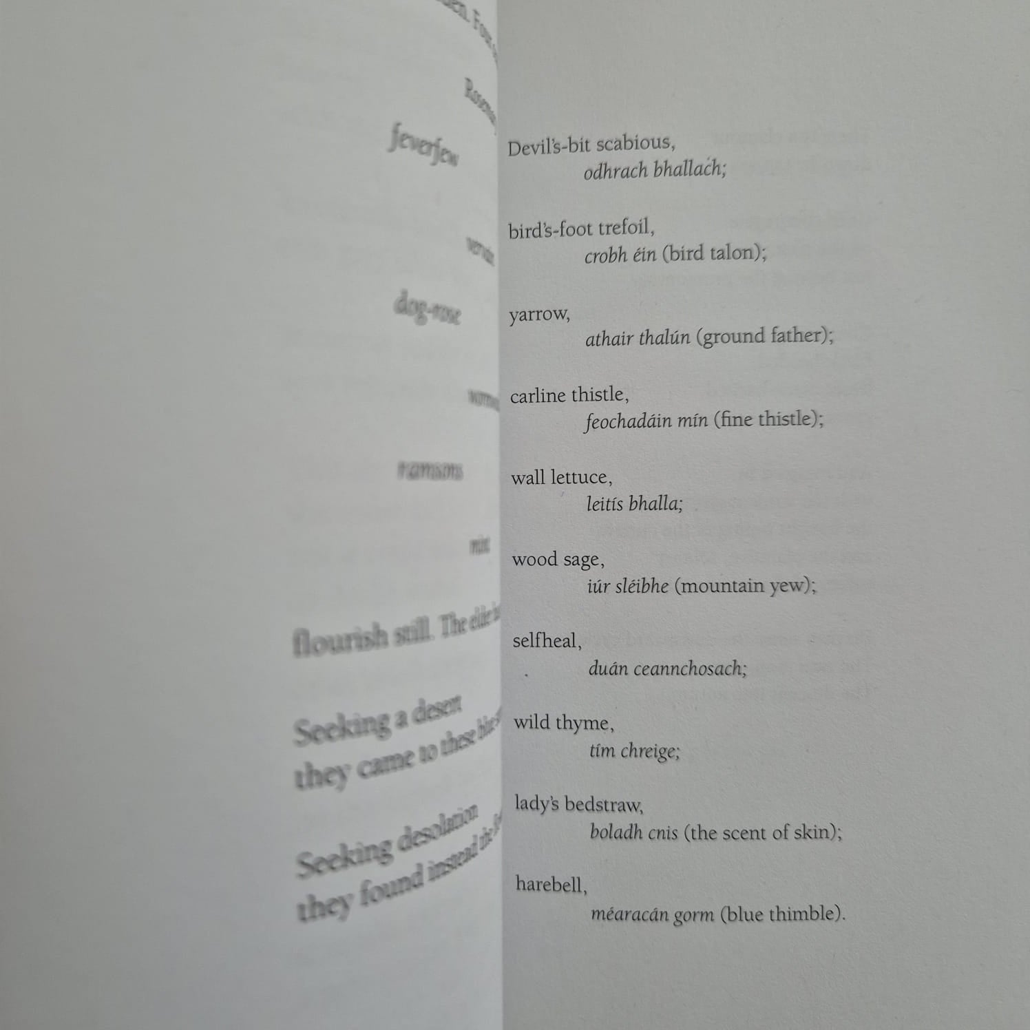 'Field Notes (Volume One)' by Autumn Richardson & Richard Skelton