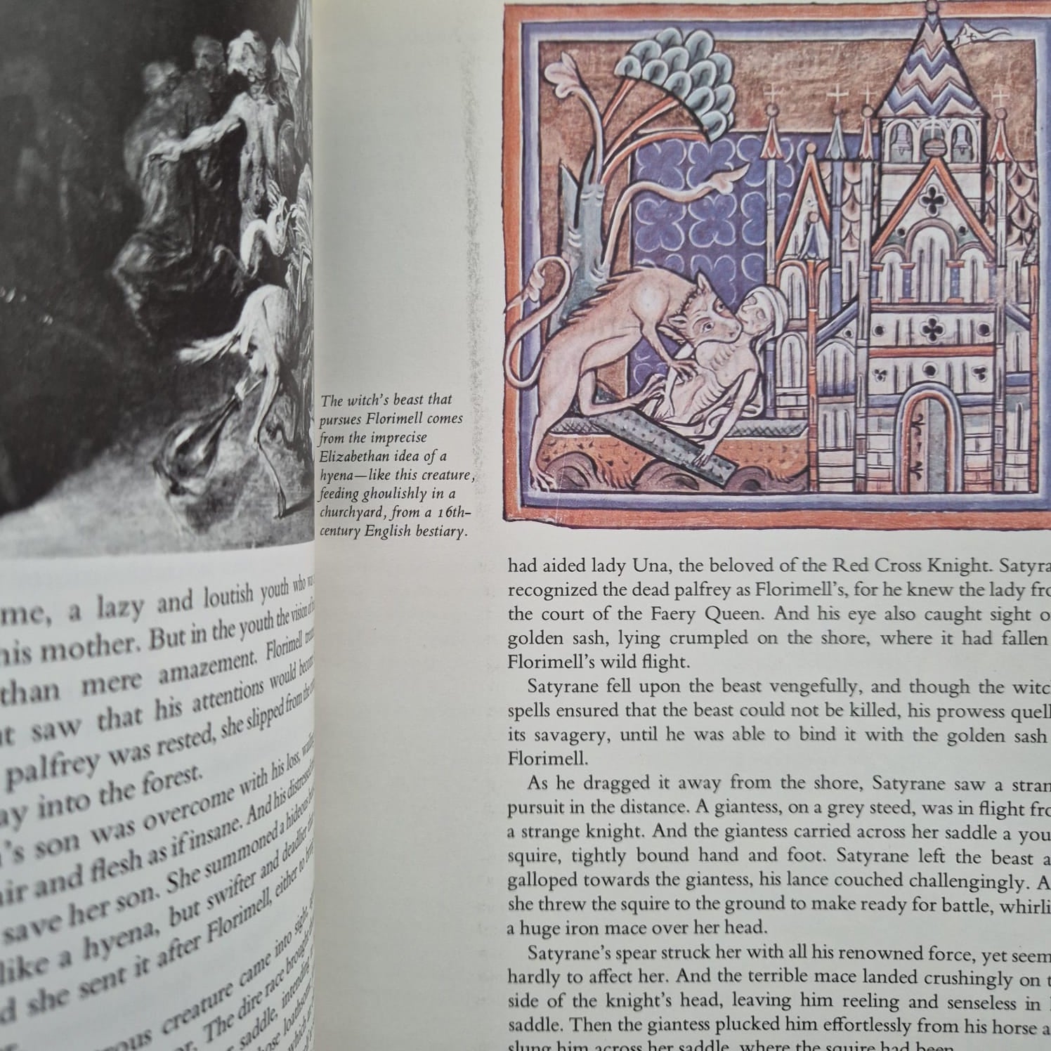 'The Illustrated Faerie Queene' by Edmund Spenser, adapted by Douglas Hill