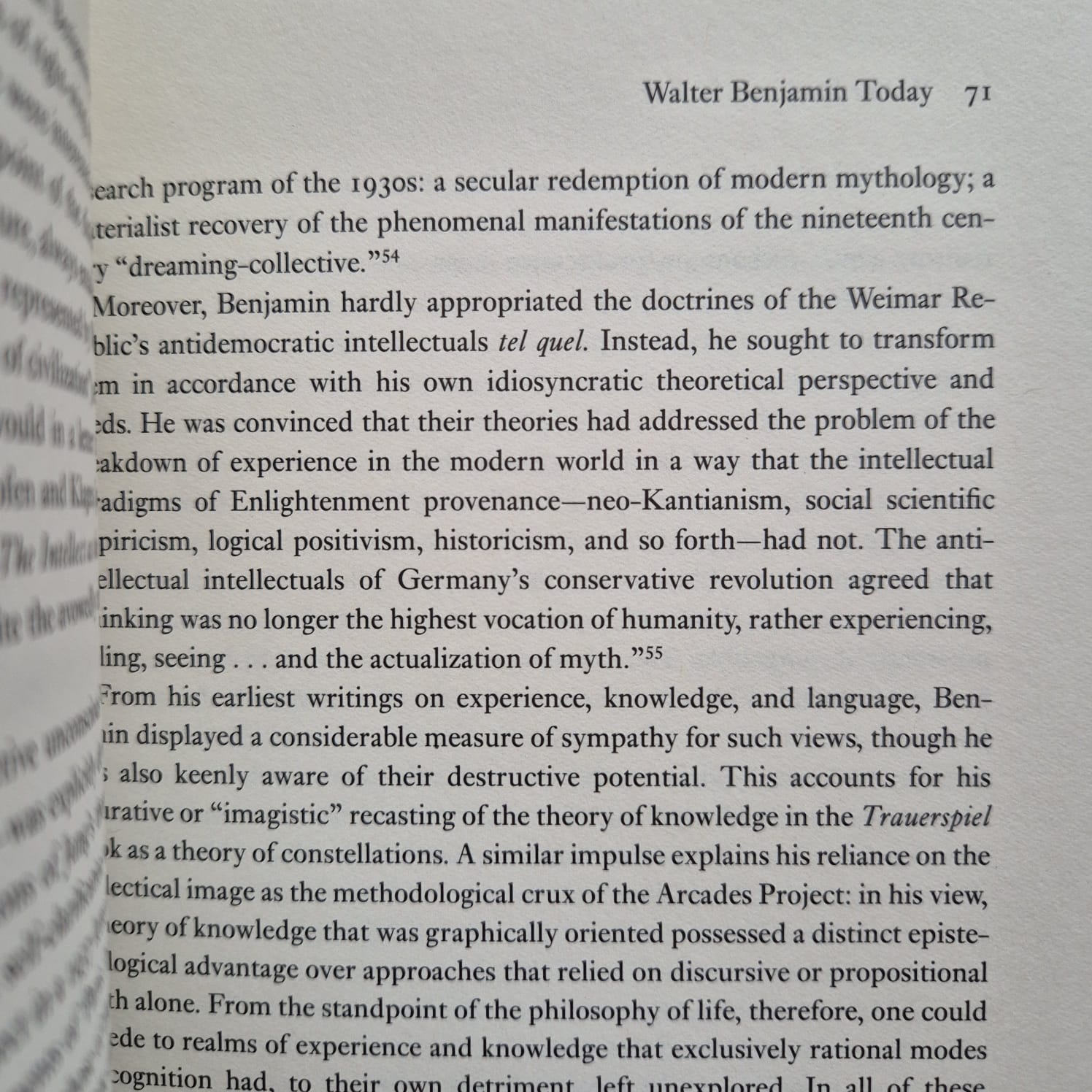 'Labyrinths: Explorations in the Critical History of Ideas' by Richard Wolin