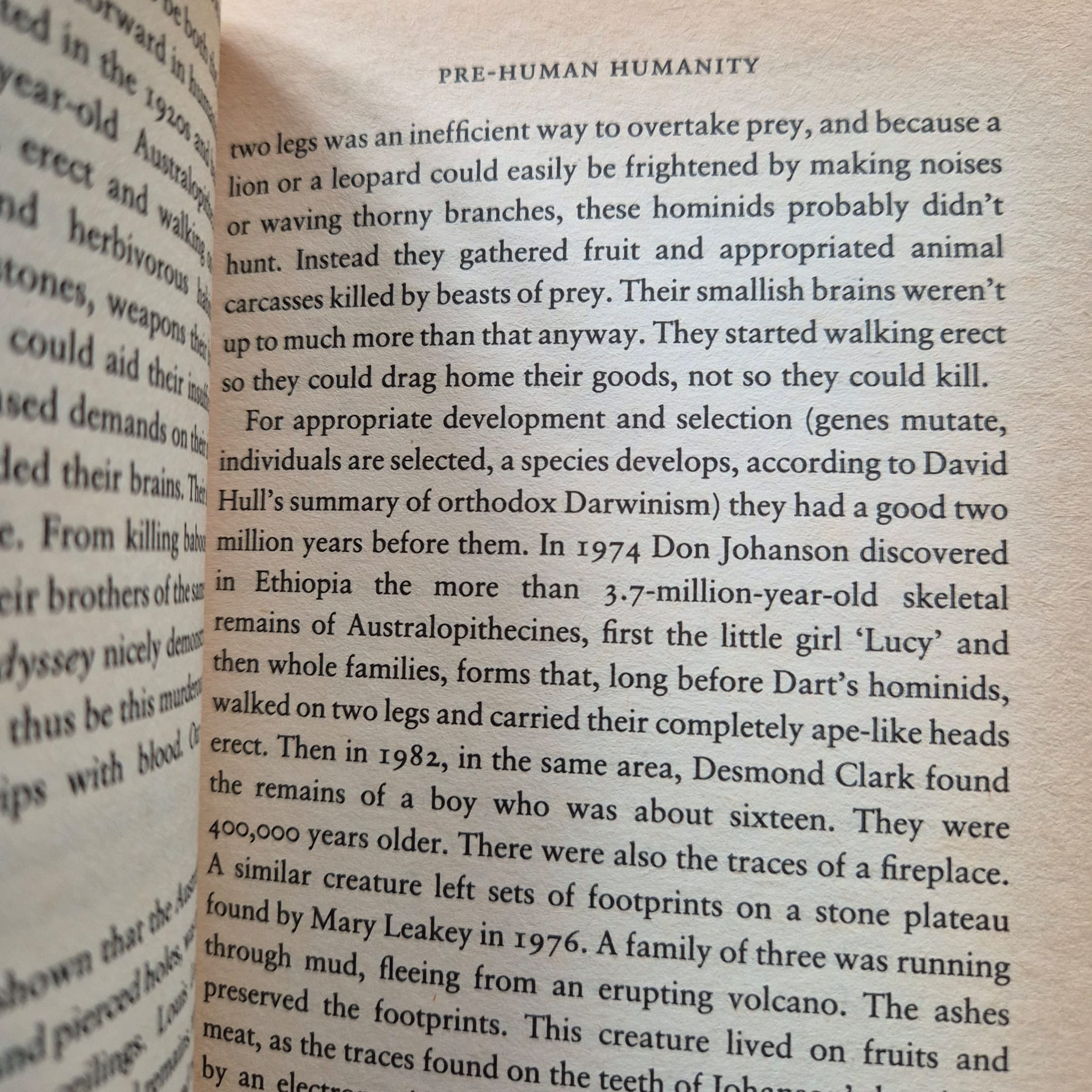 'The Dimension of the Present Moment and Other Essays' by Miroslav Holub