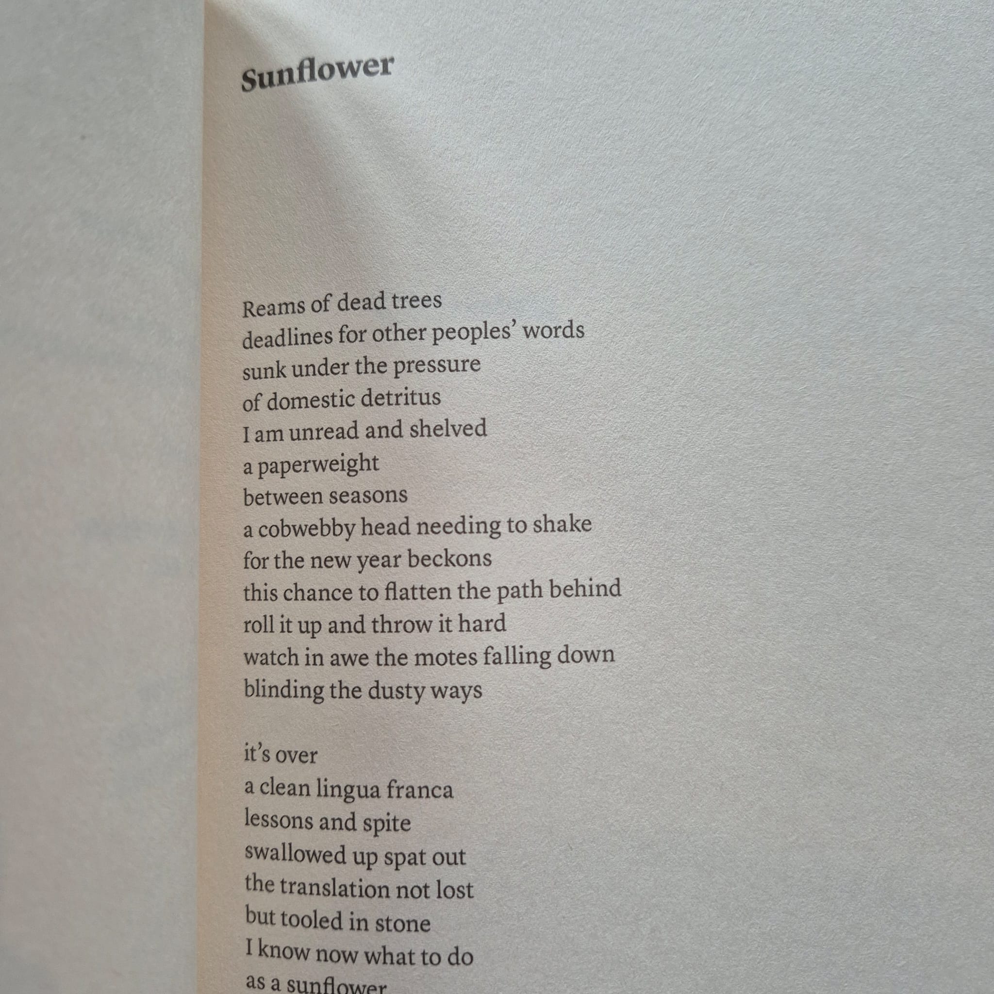 'Turbulence' by Thuy On