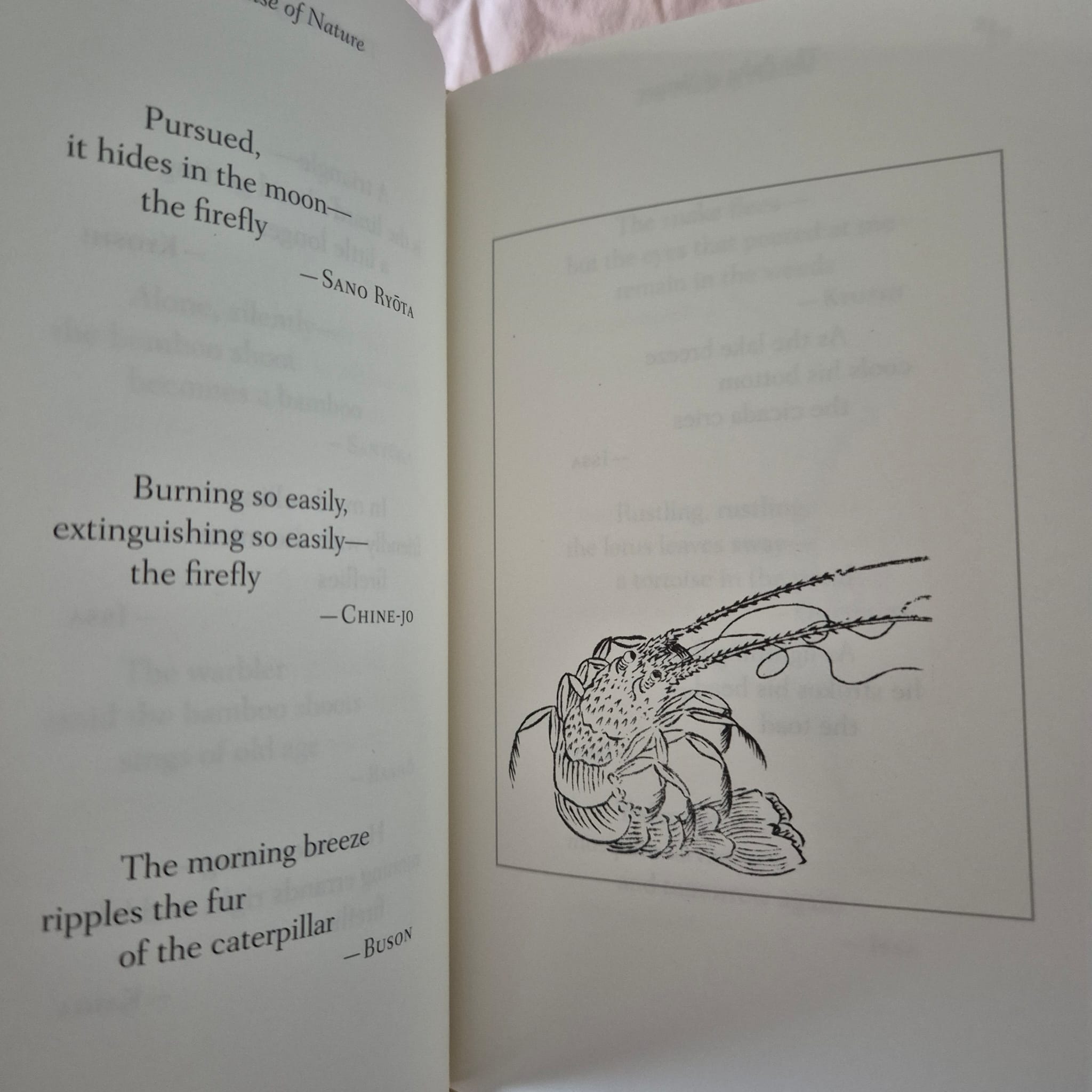 'Haiku: An Anthology of Japanese Poems' edited by Stephen Addiss, Fumiko Yamamoto & Akira Yamamoto