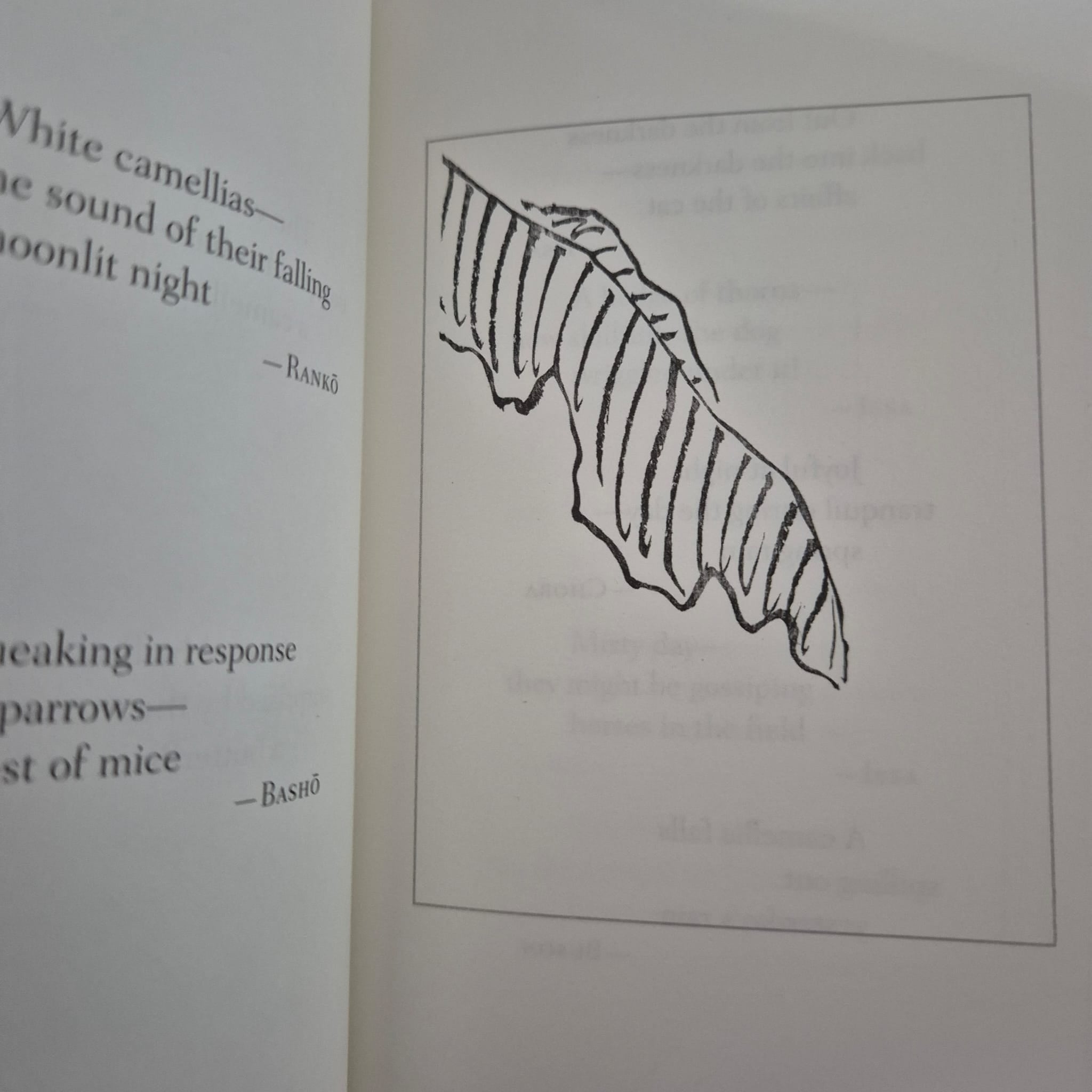 'Haiku: An Anthology of Japanese Poems' edited by Stephen Addiss, Fumiko Yamamoto & Akira Yamamoto