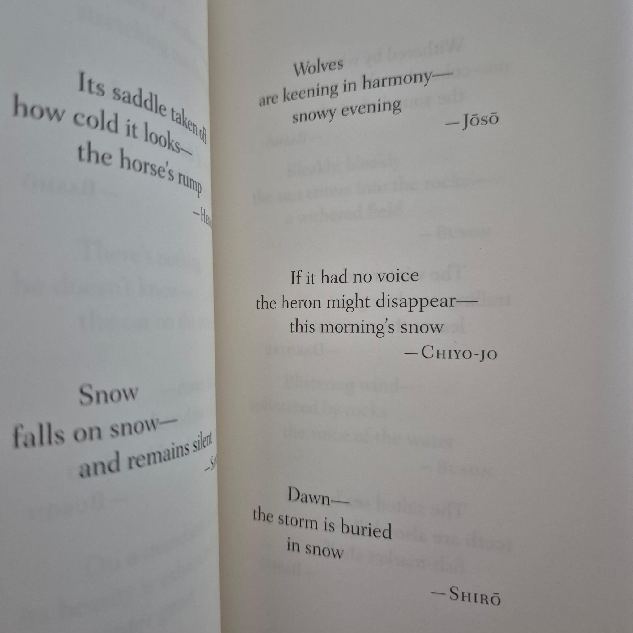 'Haiku: An Anthology of Japanese Poems' edited by Stephen Addiss, Fumiko Yamamoto & Akira Yamamoto