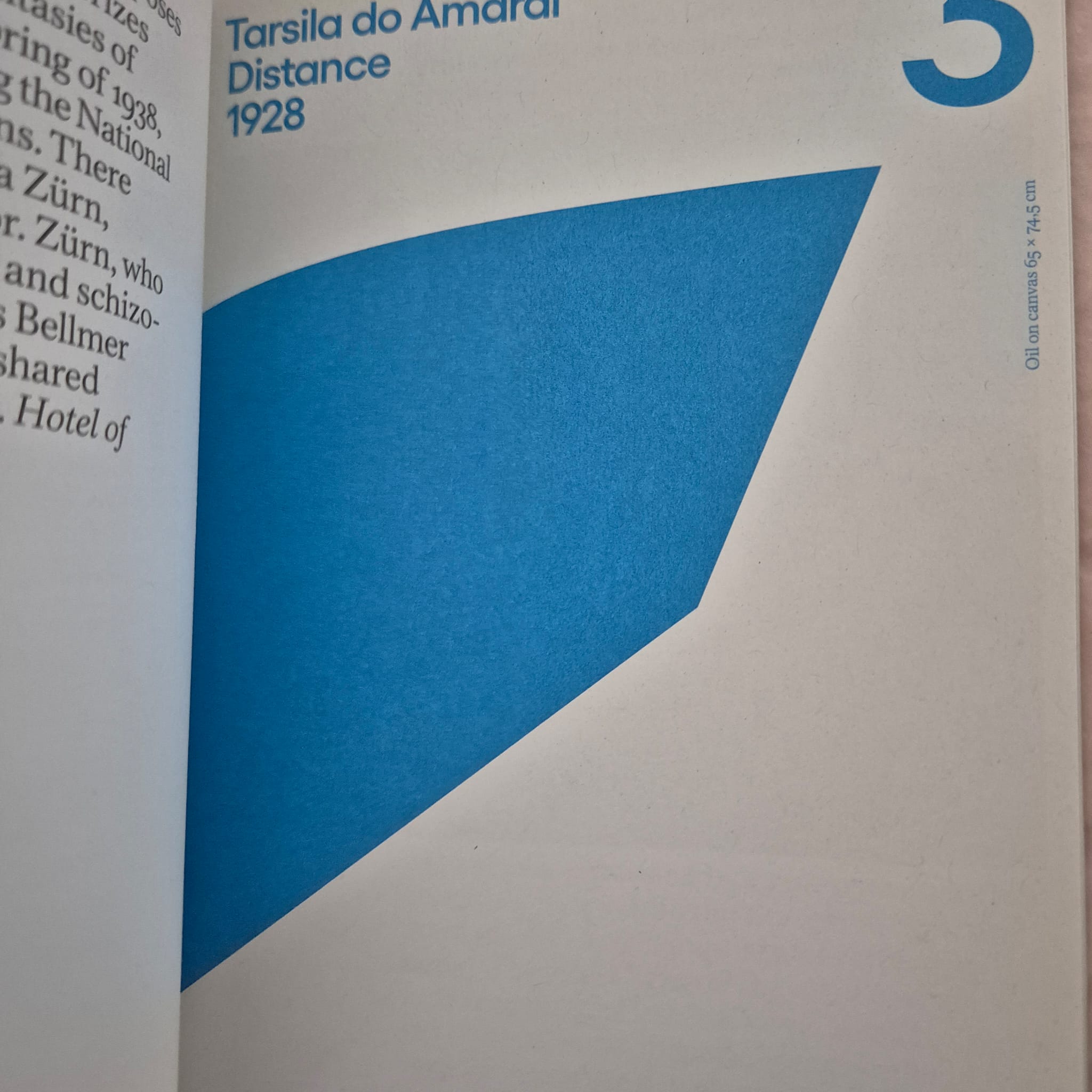'Prisms: Extended Perspectives' edited by Jessica Aimufua