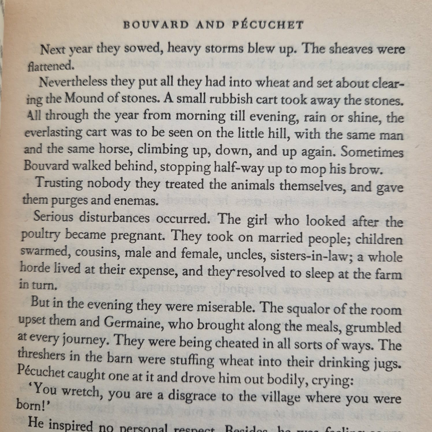 'Bouvard and Pécuchet with The Dictionary of Received Ideas' by Gustave Flaubert