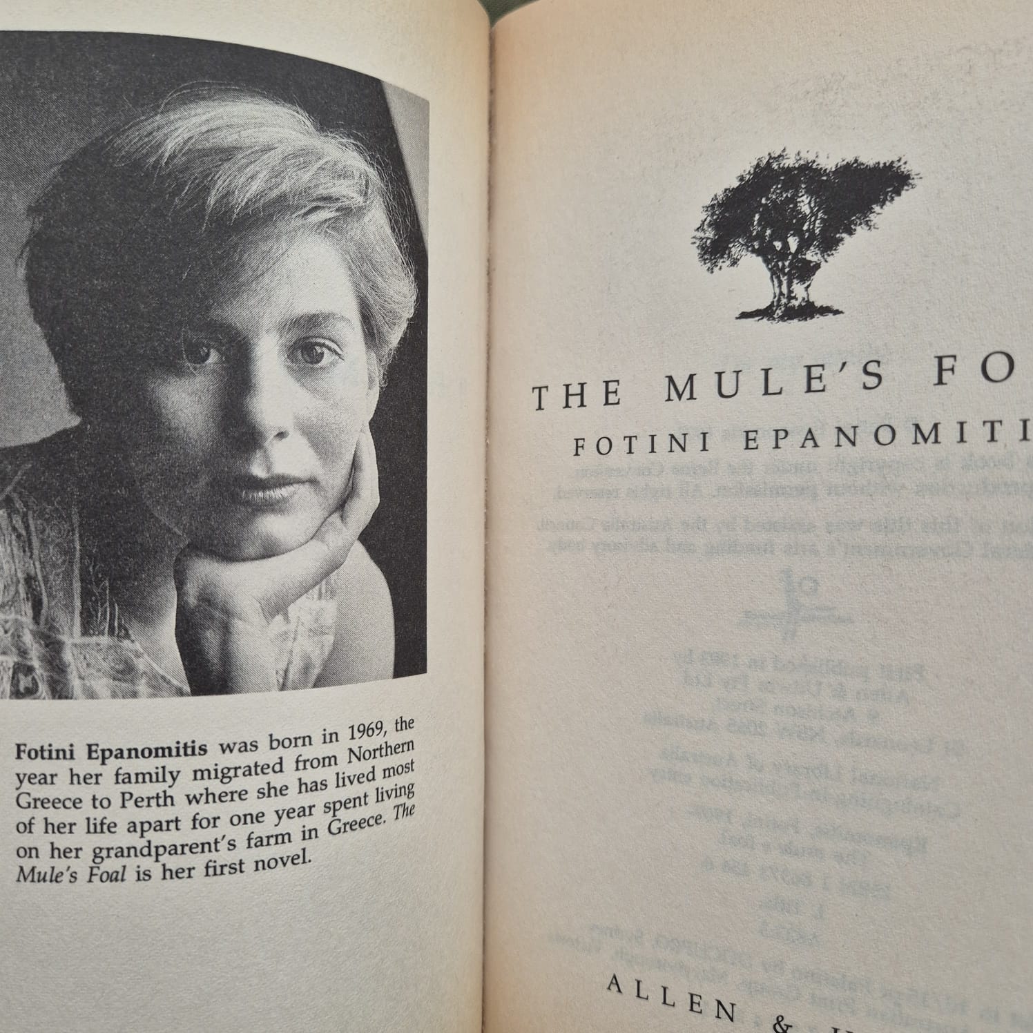 'The Mule’s Foal' by Fotini Epanomitis