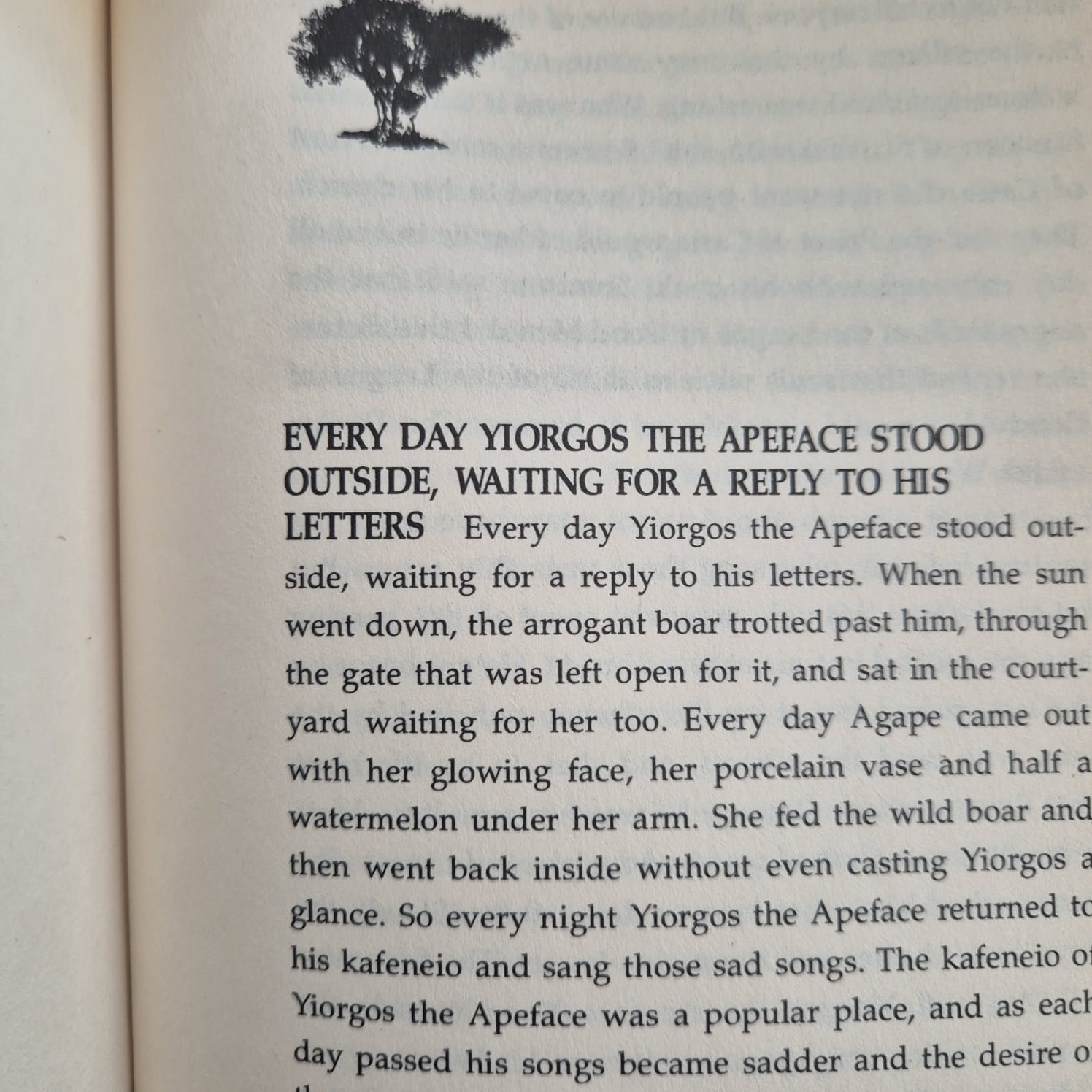 'The Mule’s Foal' by Fotini Epanomitis