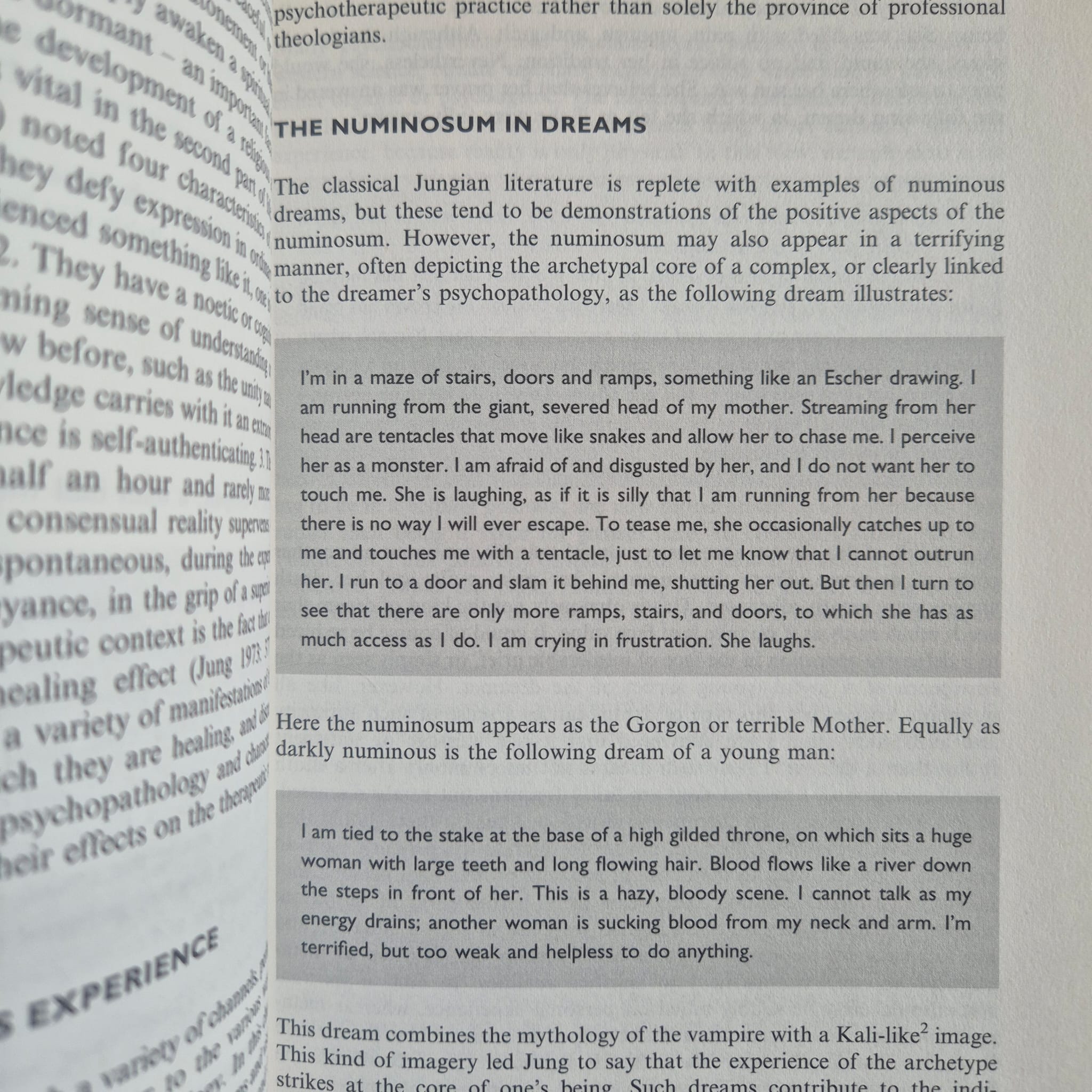 'The Idea of the Numinous: Contemporary Jungian and Psychoanalytic Perspectives' edited by Ann Casement and David Tacey