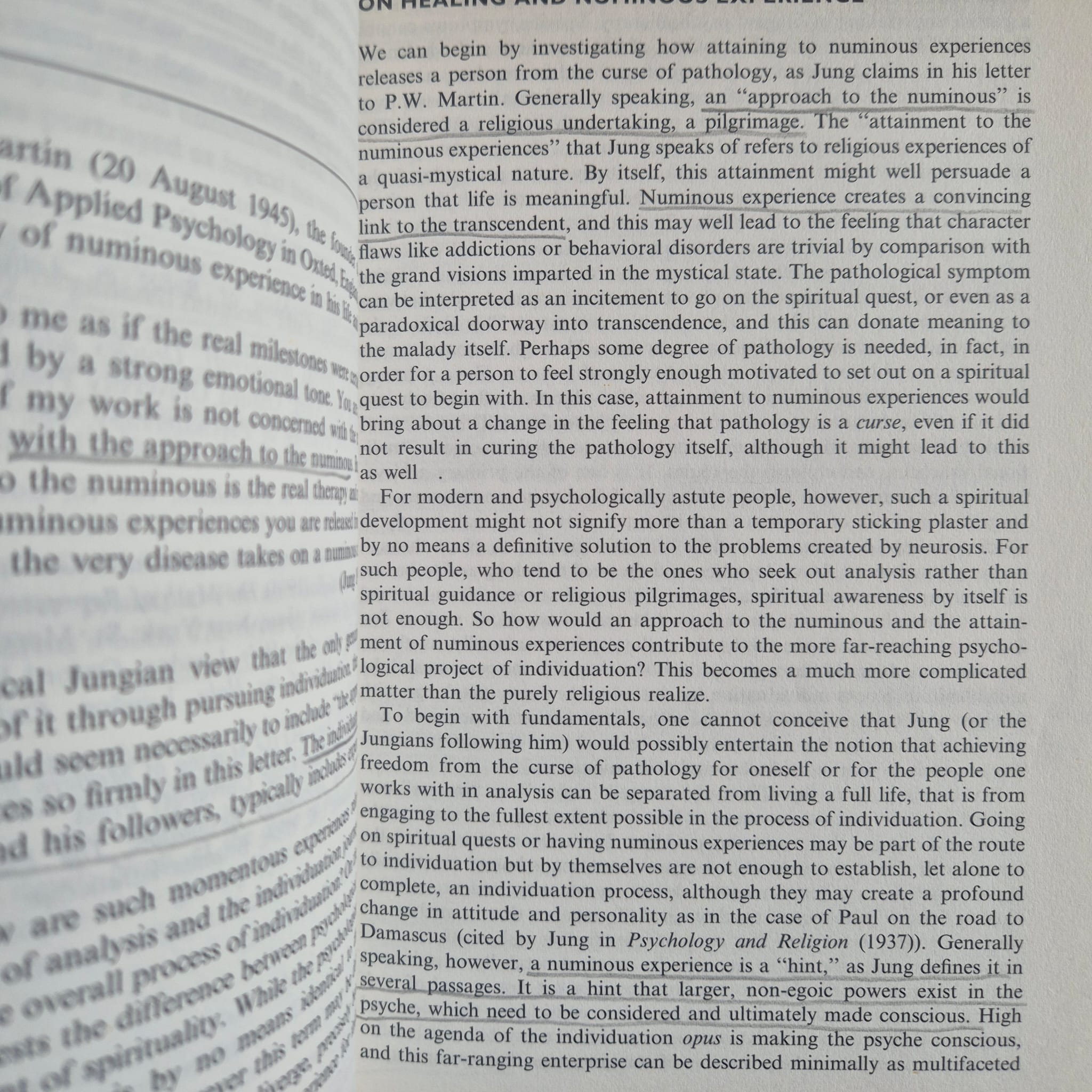 'The Idea of the Numinous: Contemporary Jungian and Psychoanalytic Perspectives' edited by Ann Casement and David Tacey