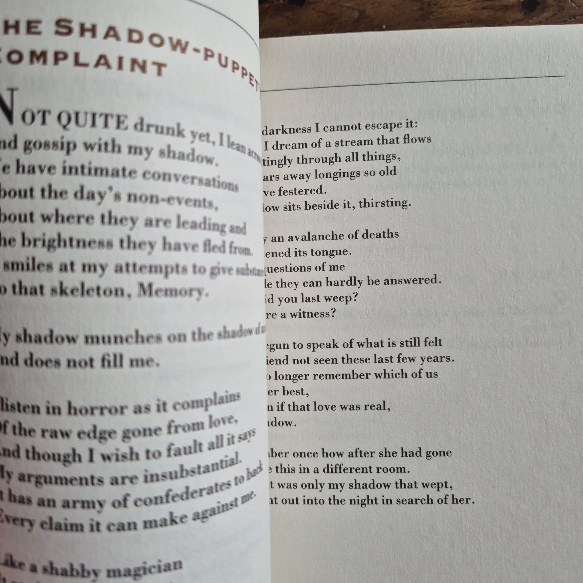 'Storm Damage' by Brian Patten