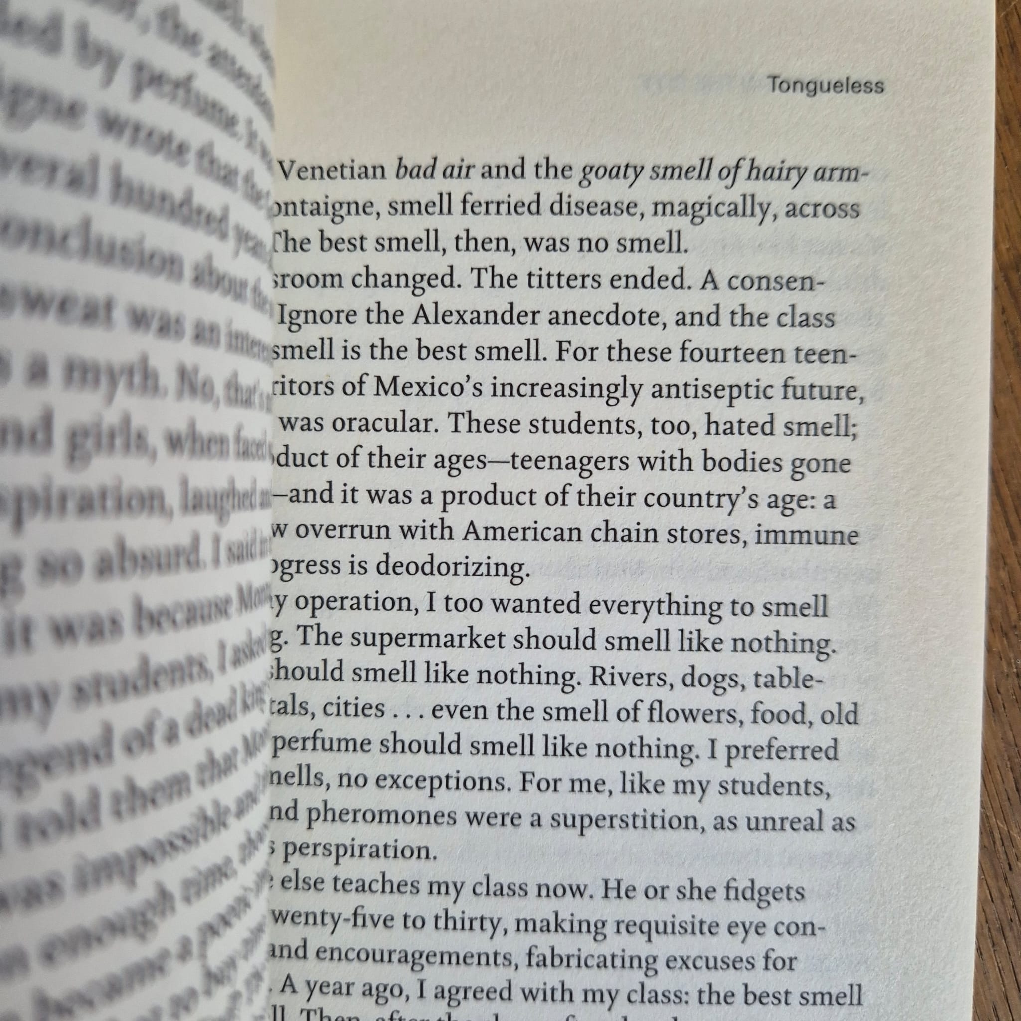'A Report on the City' by John Menick