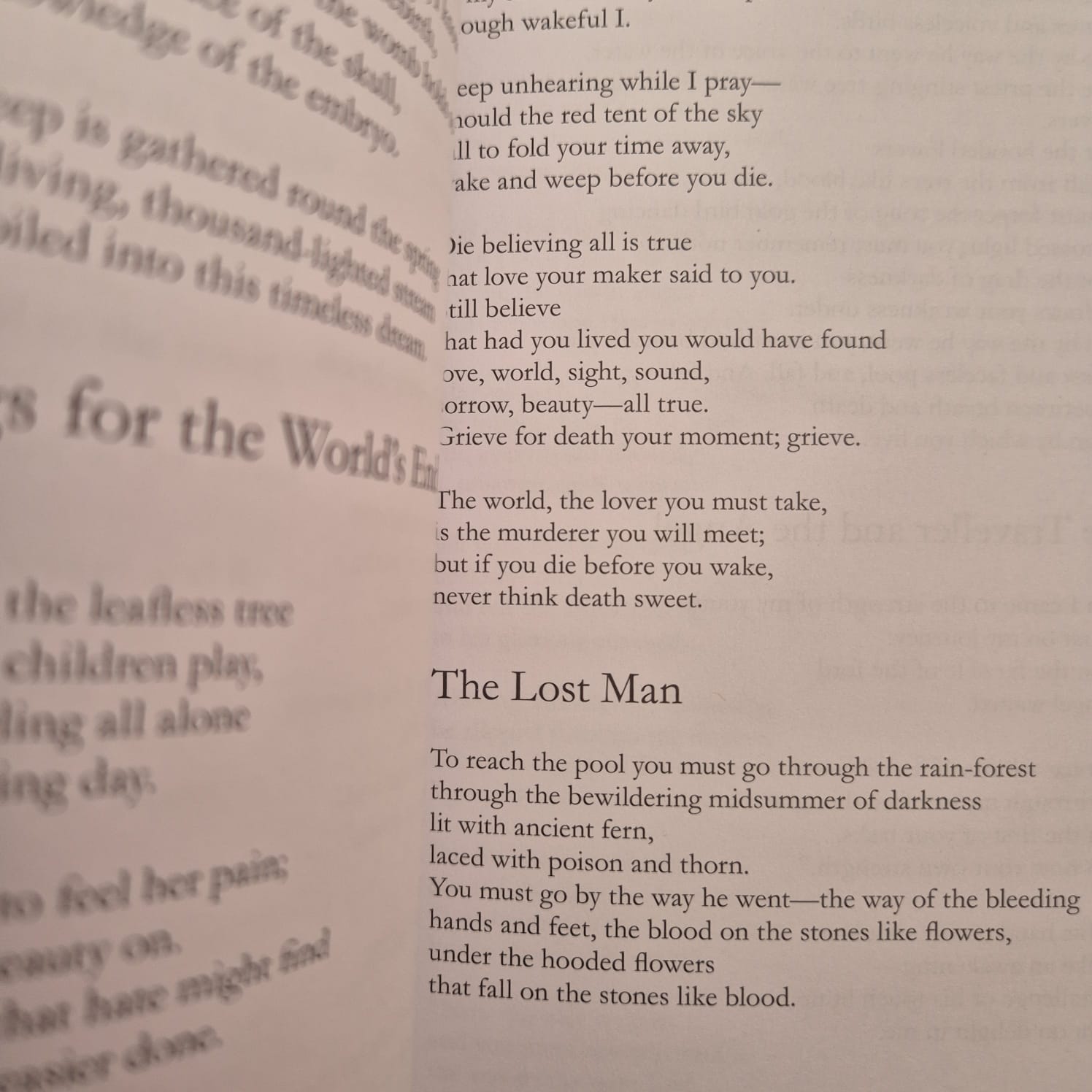 'A Human Pattern: Selected Poems' by Judith Wright