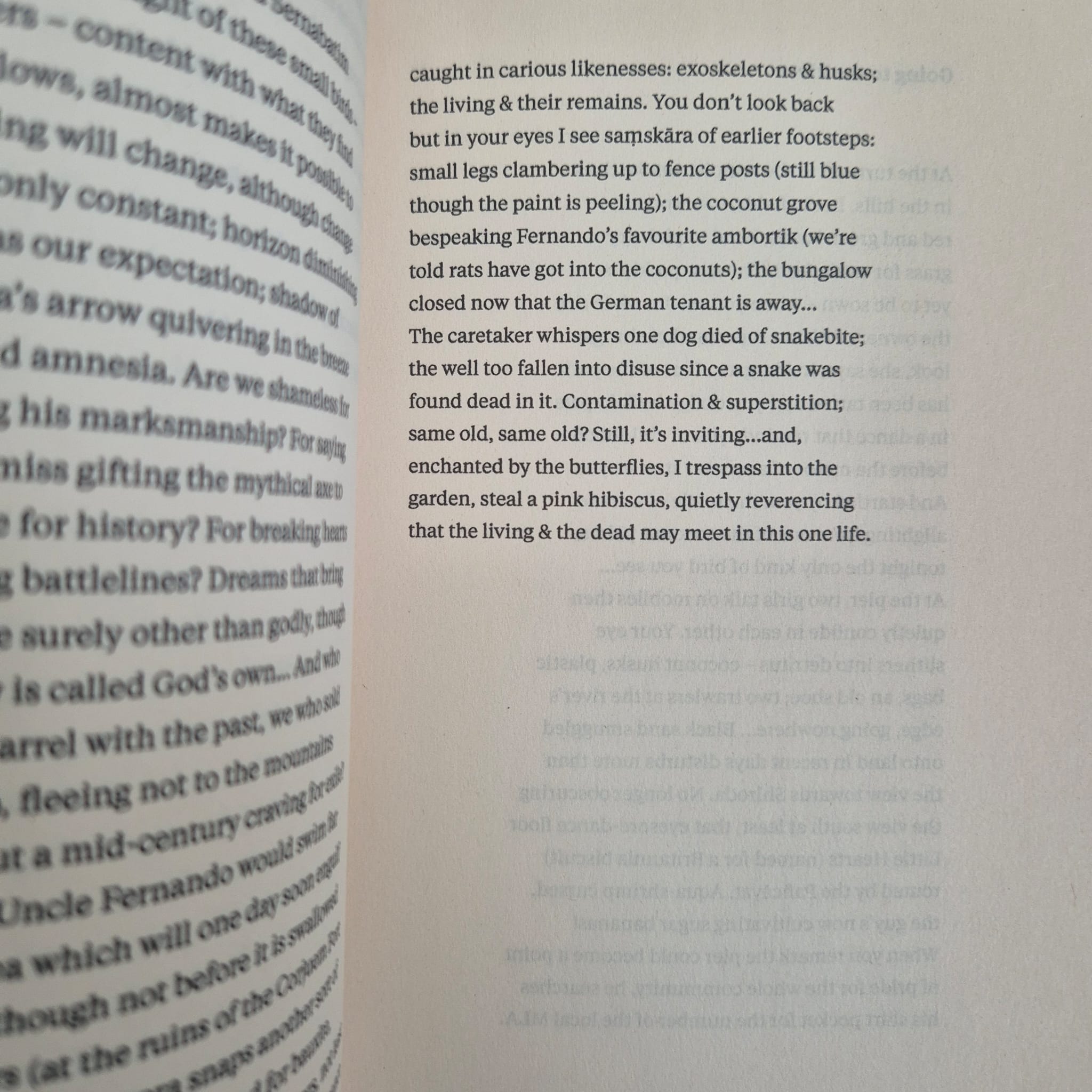‘The Prodigal’ by Suneeta Peres da Costa