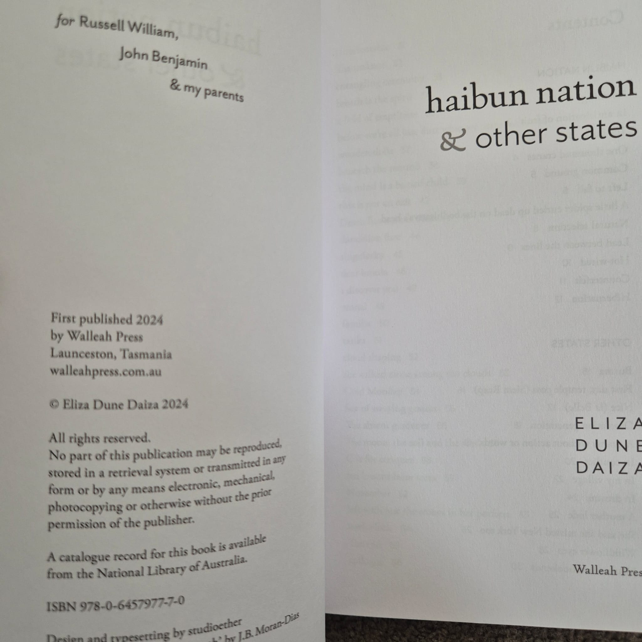 ‘haibun nation & other states’ by Eliza Dune Daiza