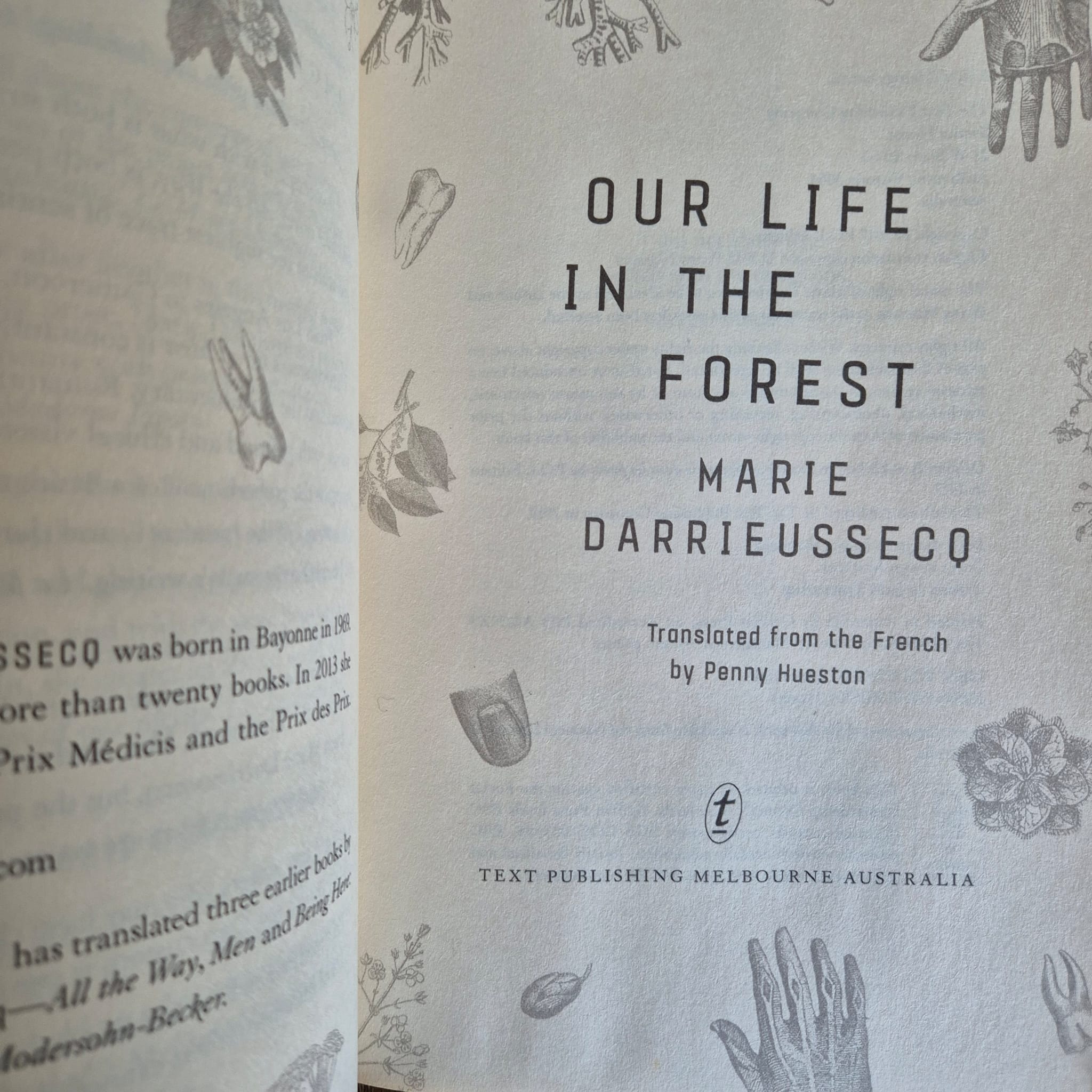 ‘Our Life in the Forest’ by Marie Darrieussecq