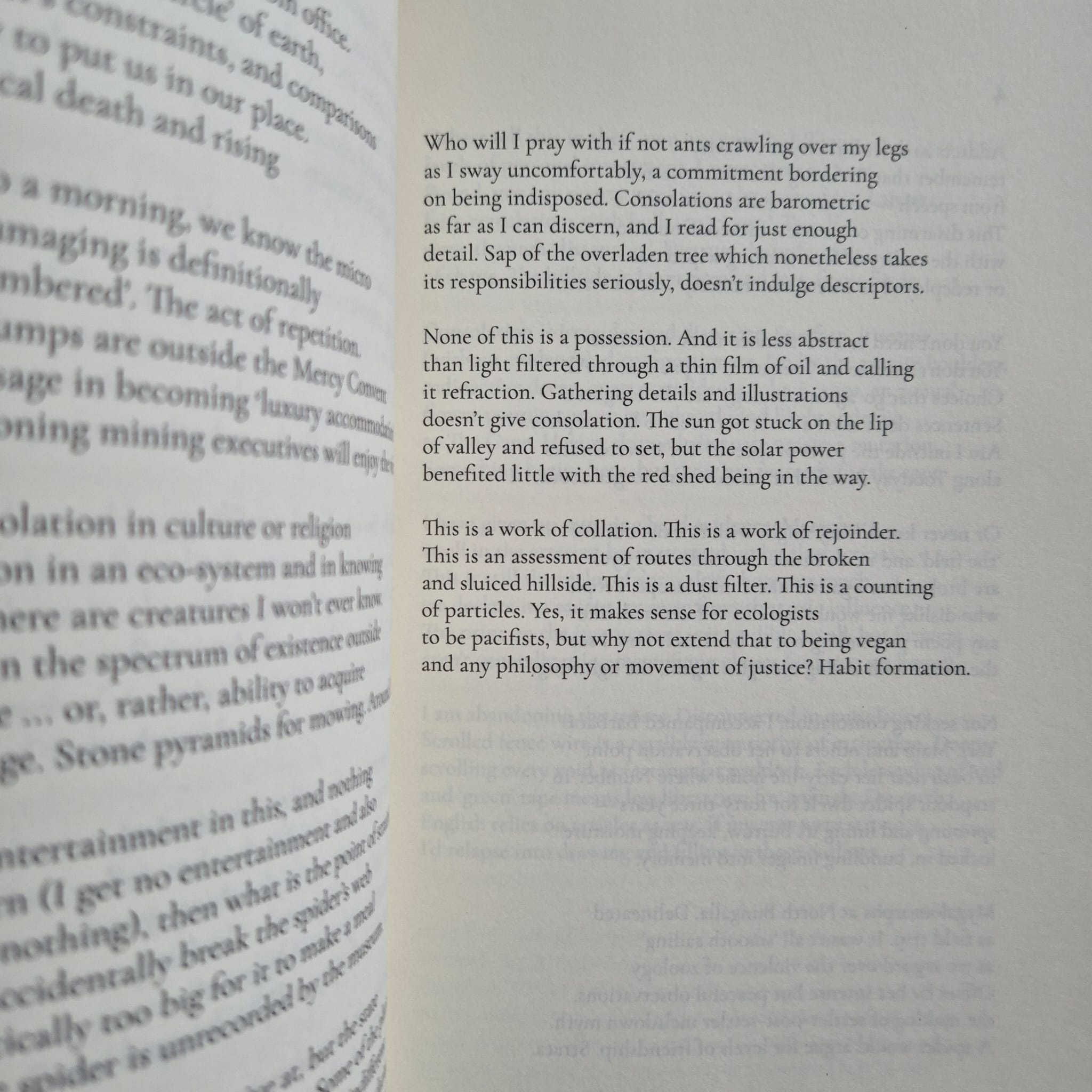 ‘Consolations: After Boethius’ by John Kinsella