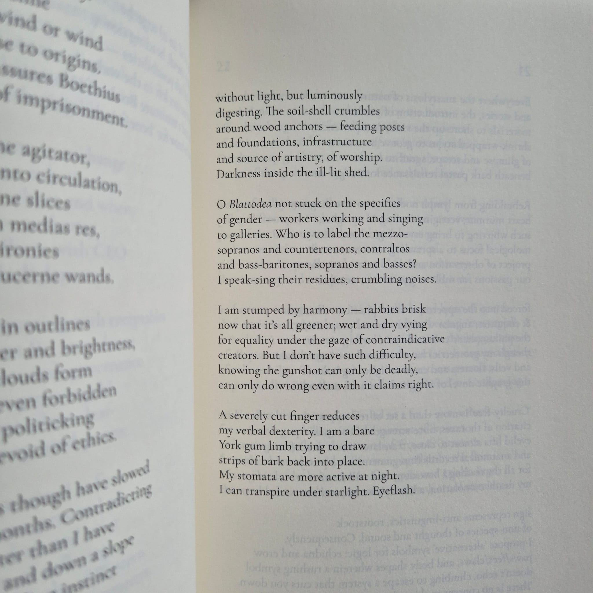 ‘Consolations: After Boethius’ by John Kinsella