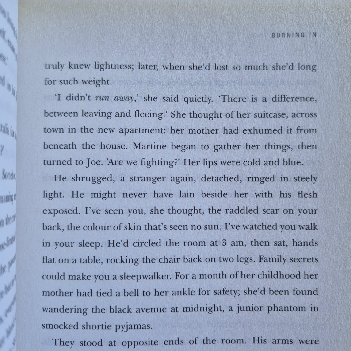'Burning In' by Mireille Juchau