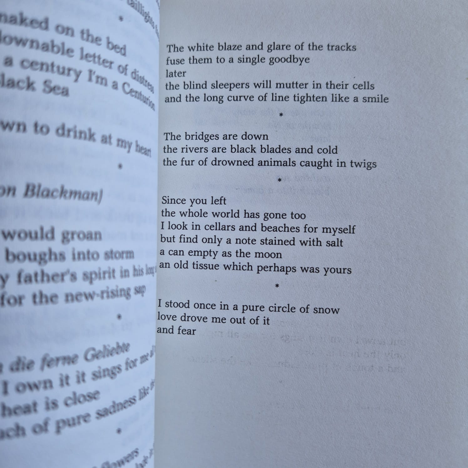 'Selected Poems 1960–1985' by Andrew Taylor