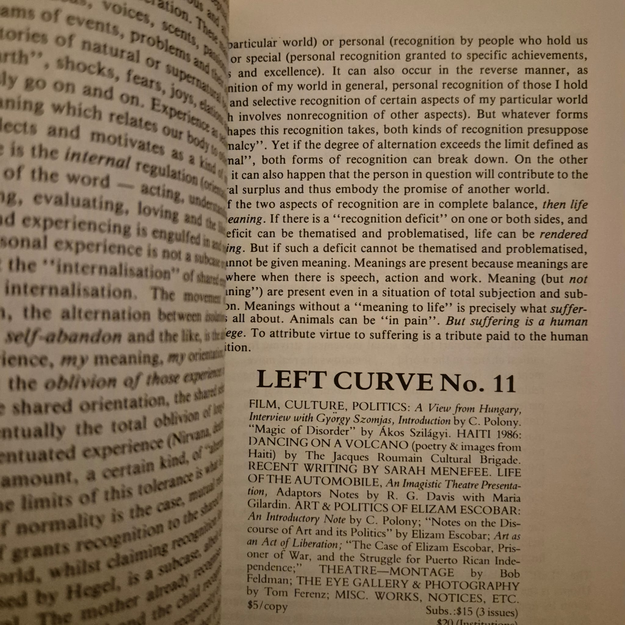 'Thesis Eleven, Number 16: Agnes Heller — Modernity & Democratic Utopia' edited by the Thesis Eleven collective