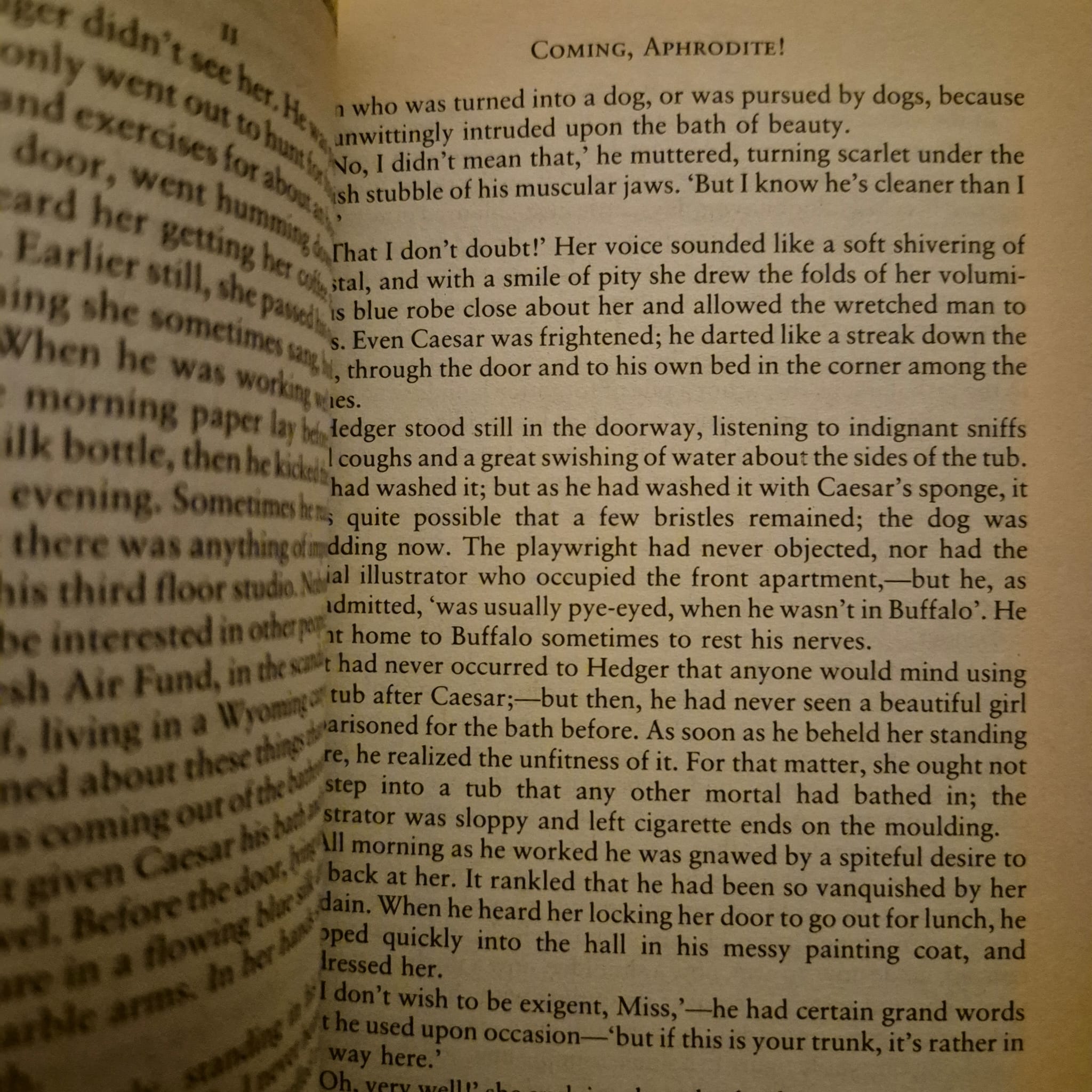 'The Secret Self: Short Stories by Women' selected and introduced by Hermione Lee