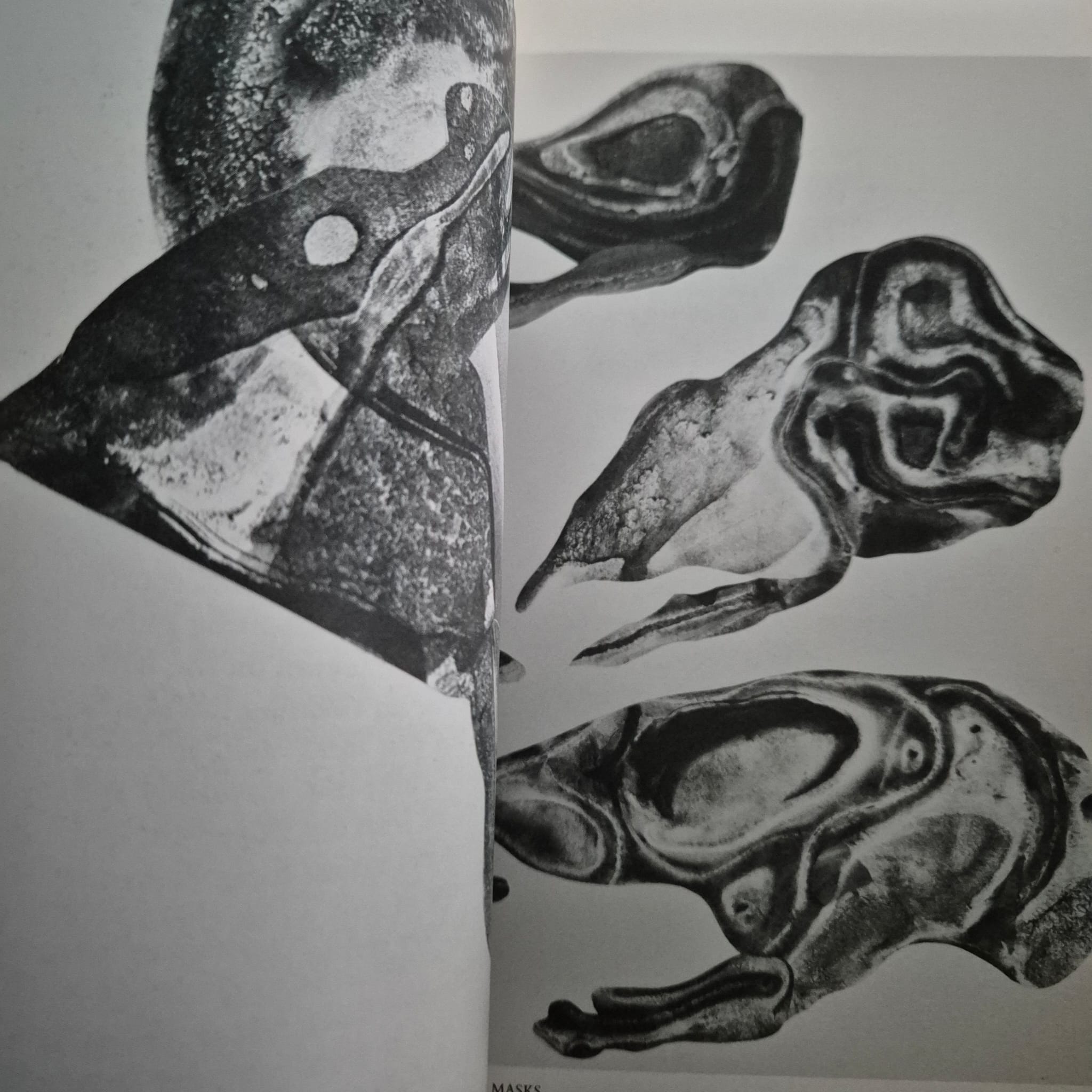 'Eden: Graphics & Poems' by Charles Tomlinson