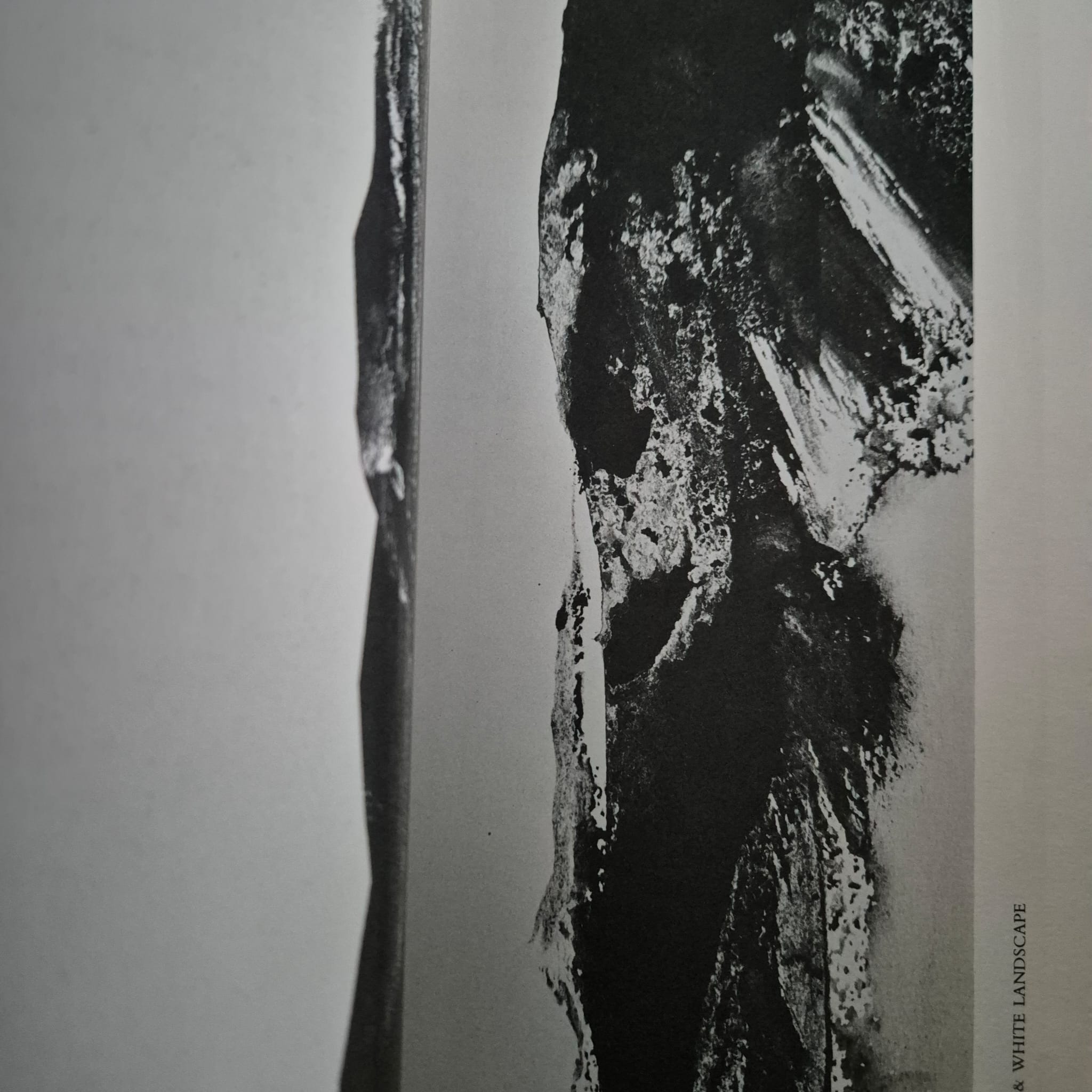 'Eden: Graphics & Poems' by Charles Tomlinson