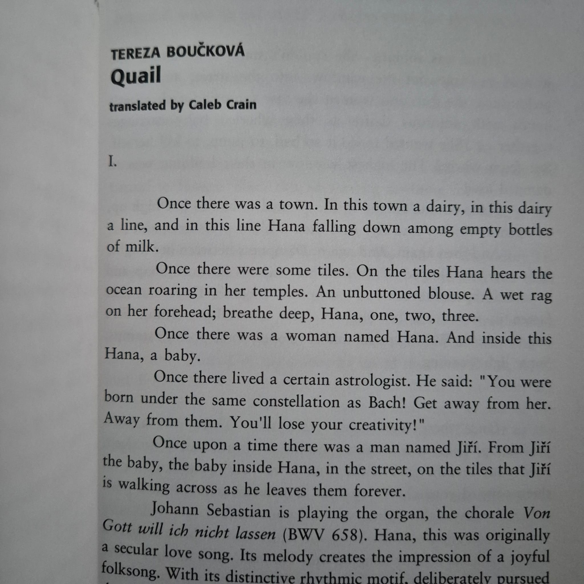 'Daylight in Nightclub Inferno: Czech Fiction from the Post-Kundera Generation' edited and introduced by Elena Lappin