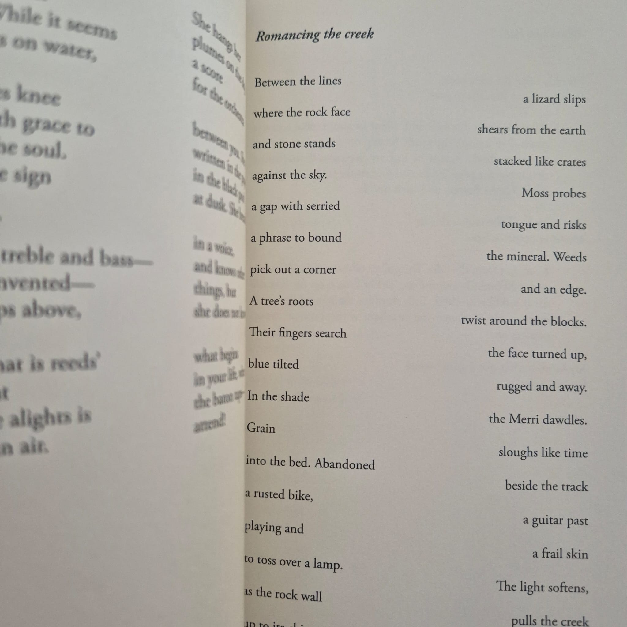 'Kin' by Anne Elvey