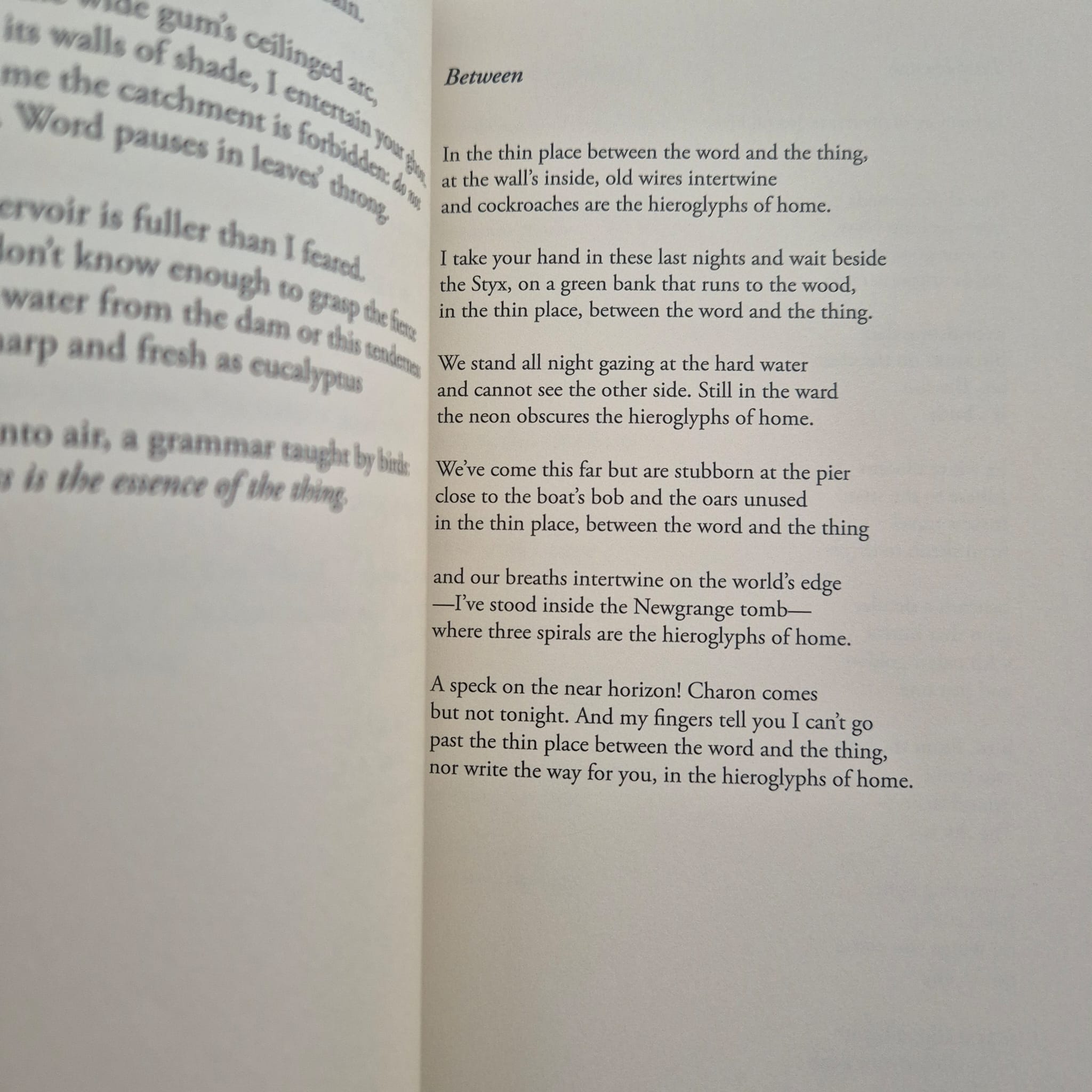 'Kin' by Anne Elvey