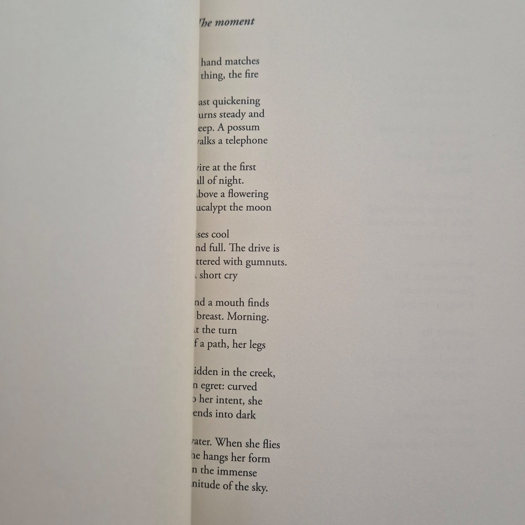 'Kin' by Anne Elvey