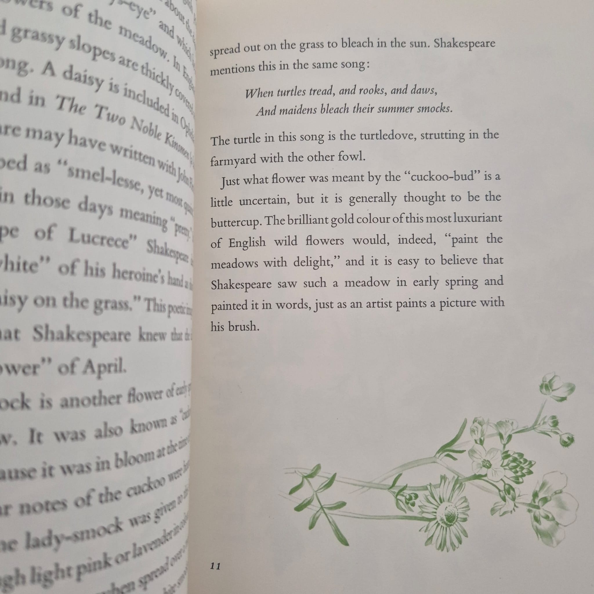 'Shakespeare’s Flowers' by Jessica Kerr, illustrated by Anne Ophelia Dowden