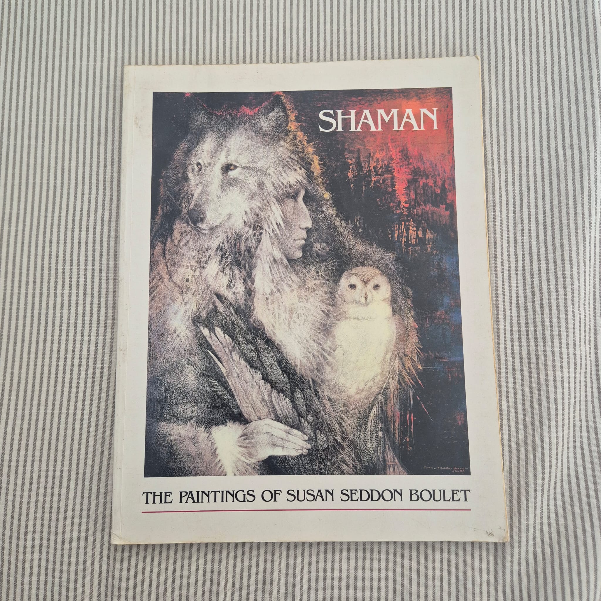 'Shaman: The Paintings of Susan Seddon Boulet' by Susan Seddon Boulet