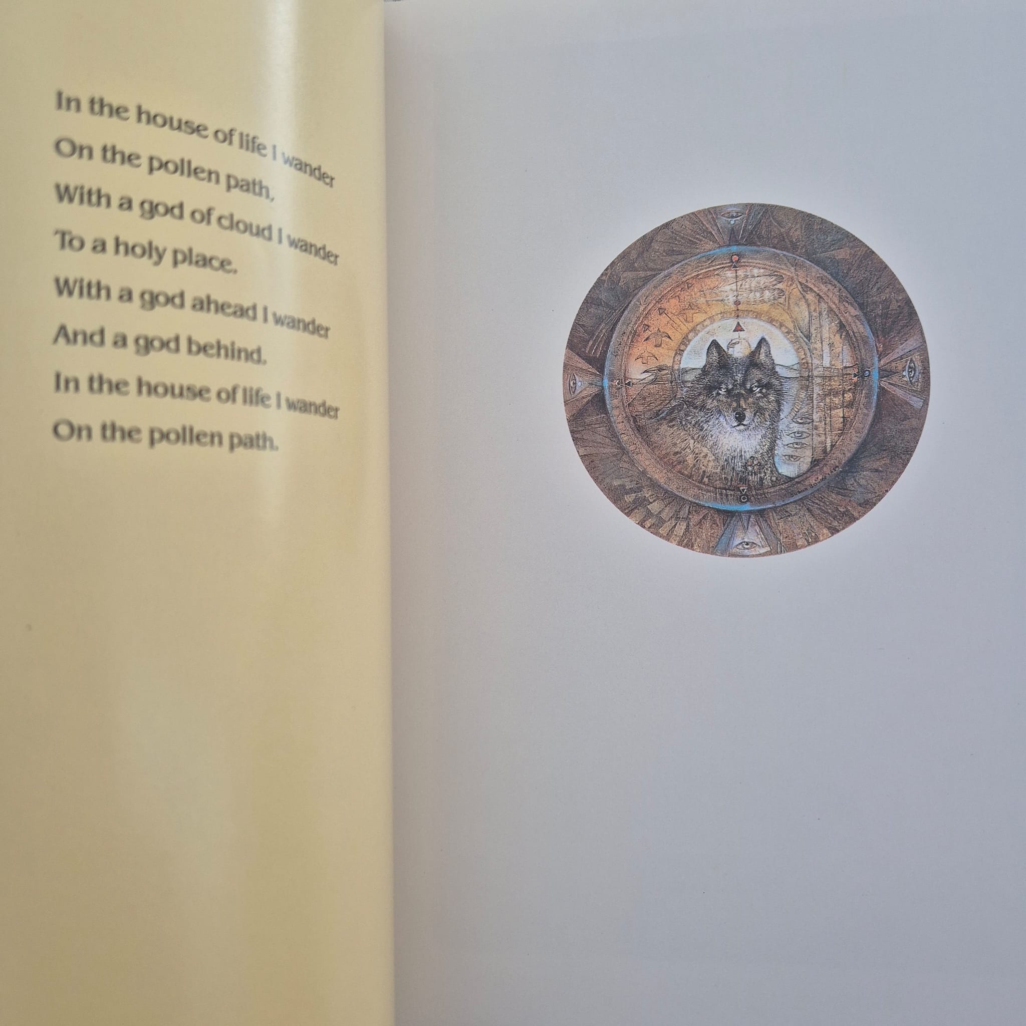 'Shaman: The Paintings of Susan Seddon Boulet' by Susan Seddon Boulet