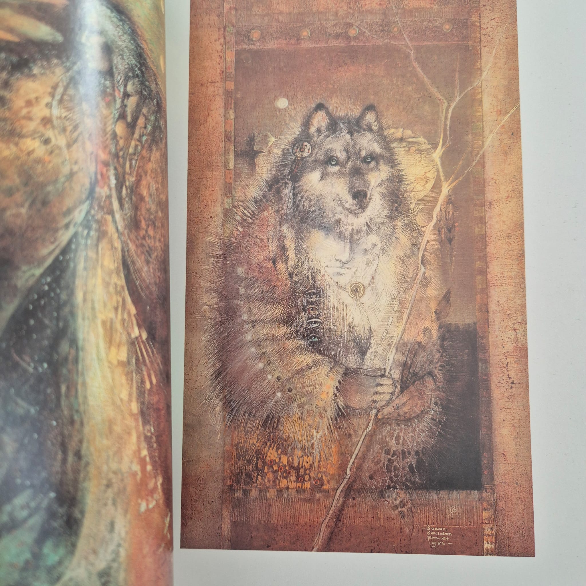 'Shaman: The Paintings of Susan Seddon Boulet' by Susan Seddon Boulet