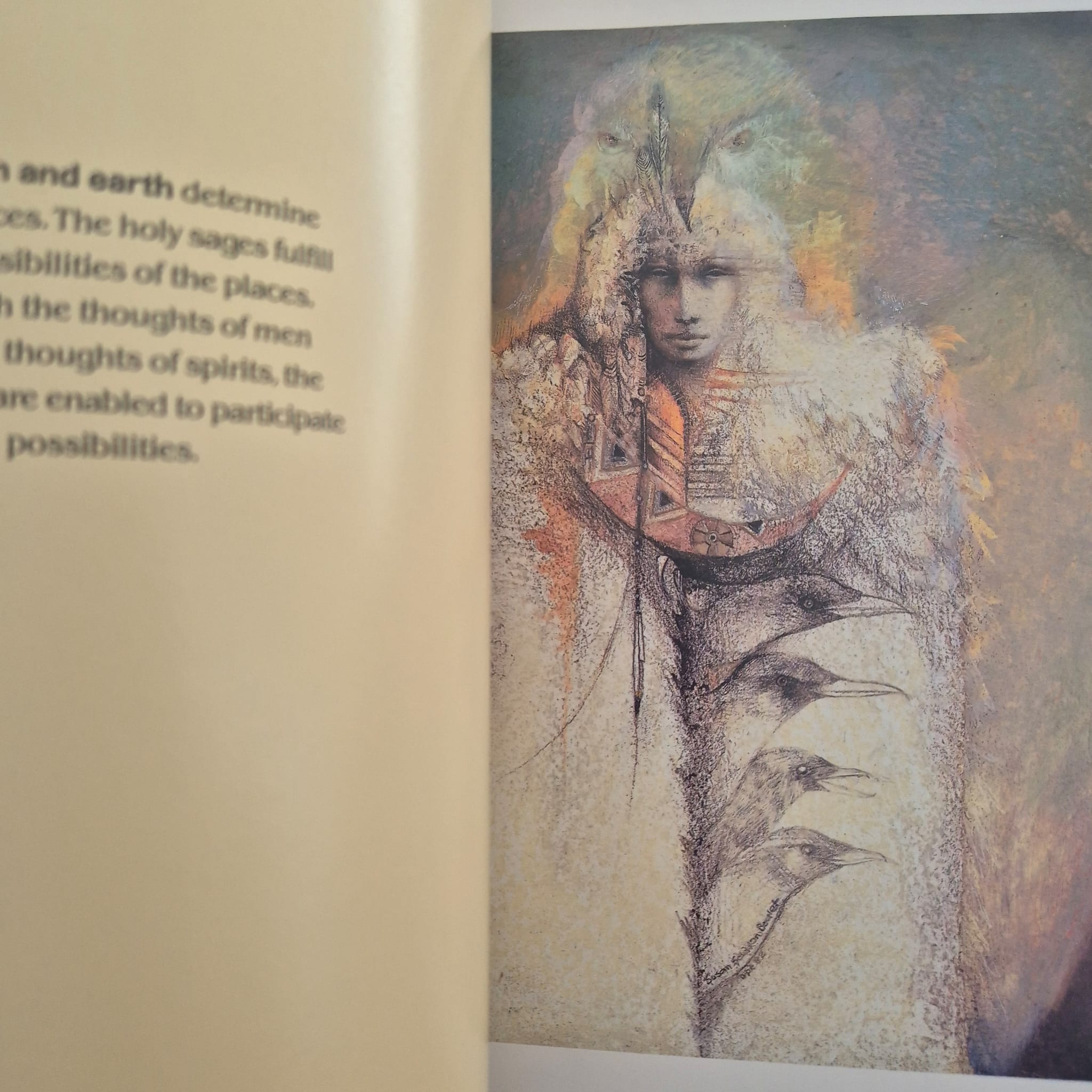 'Shaman: The Paintings of Susan Seddon Boulet' by Susan Seddon Boulet
