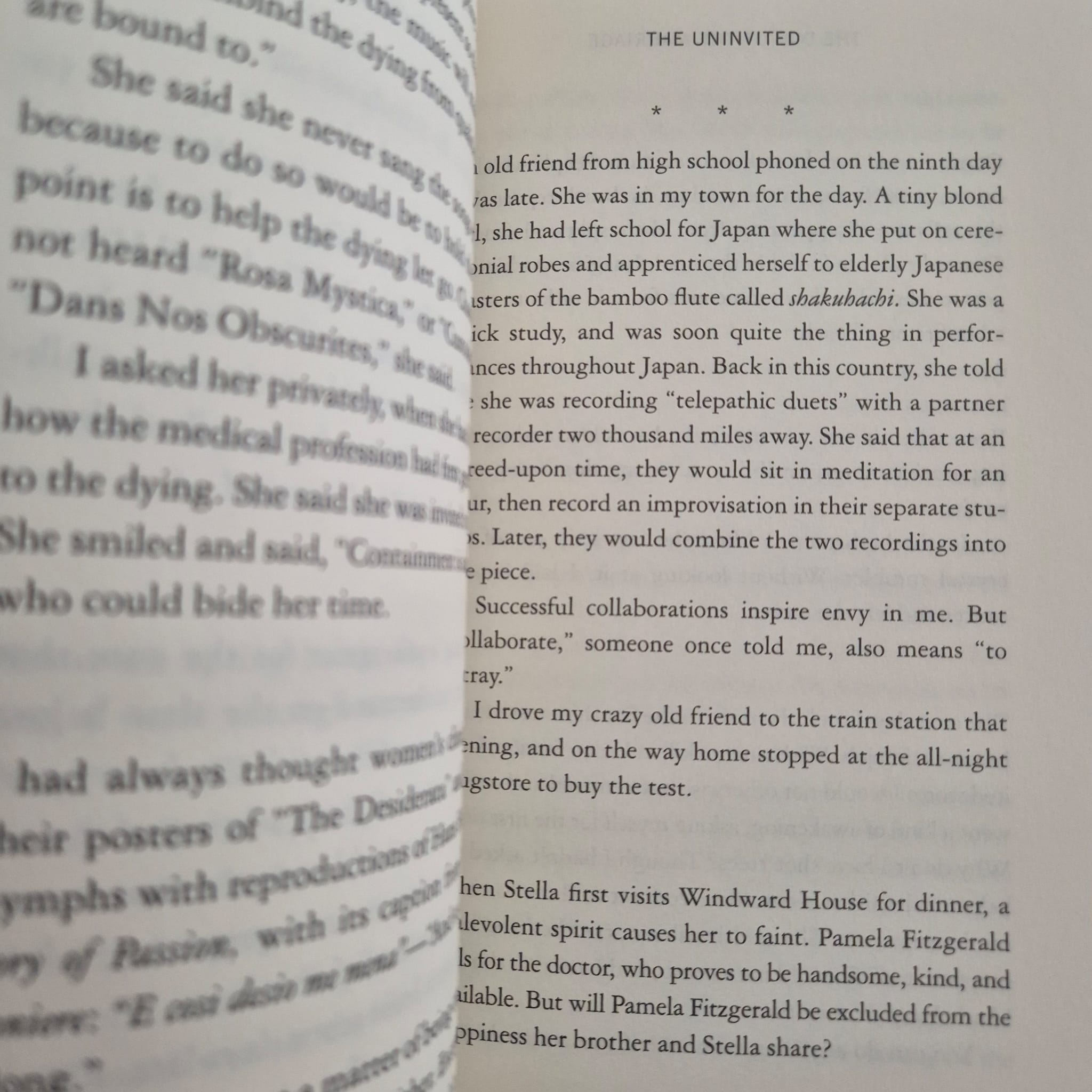 'The Dog of the Marriage' by Amy Hempel