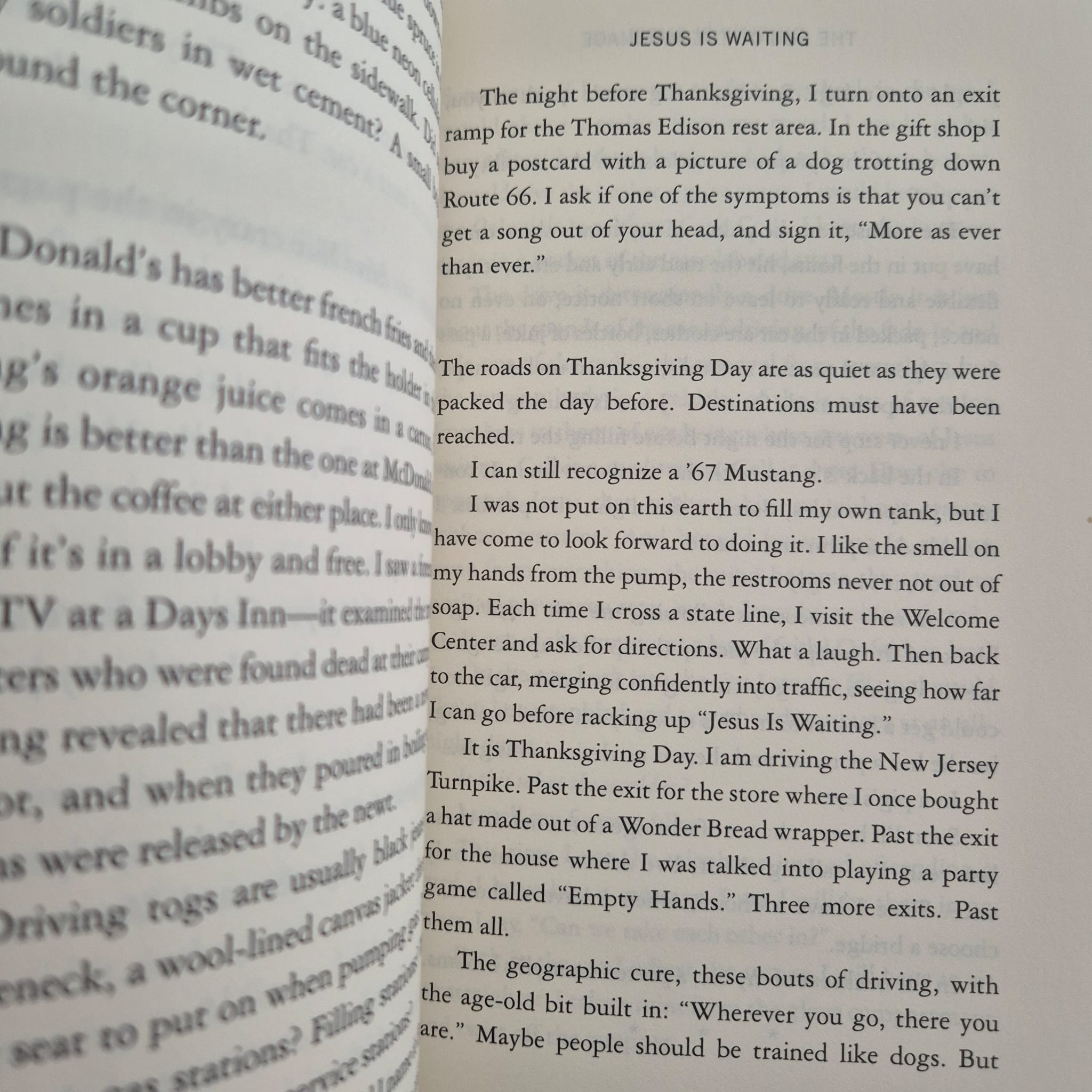 'The Dog of the Marriage' by Amy Hempel