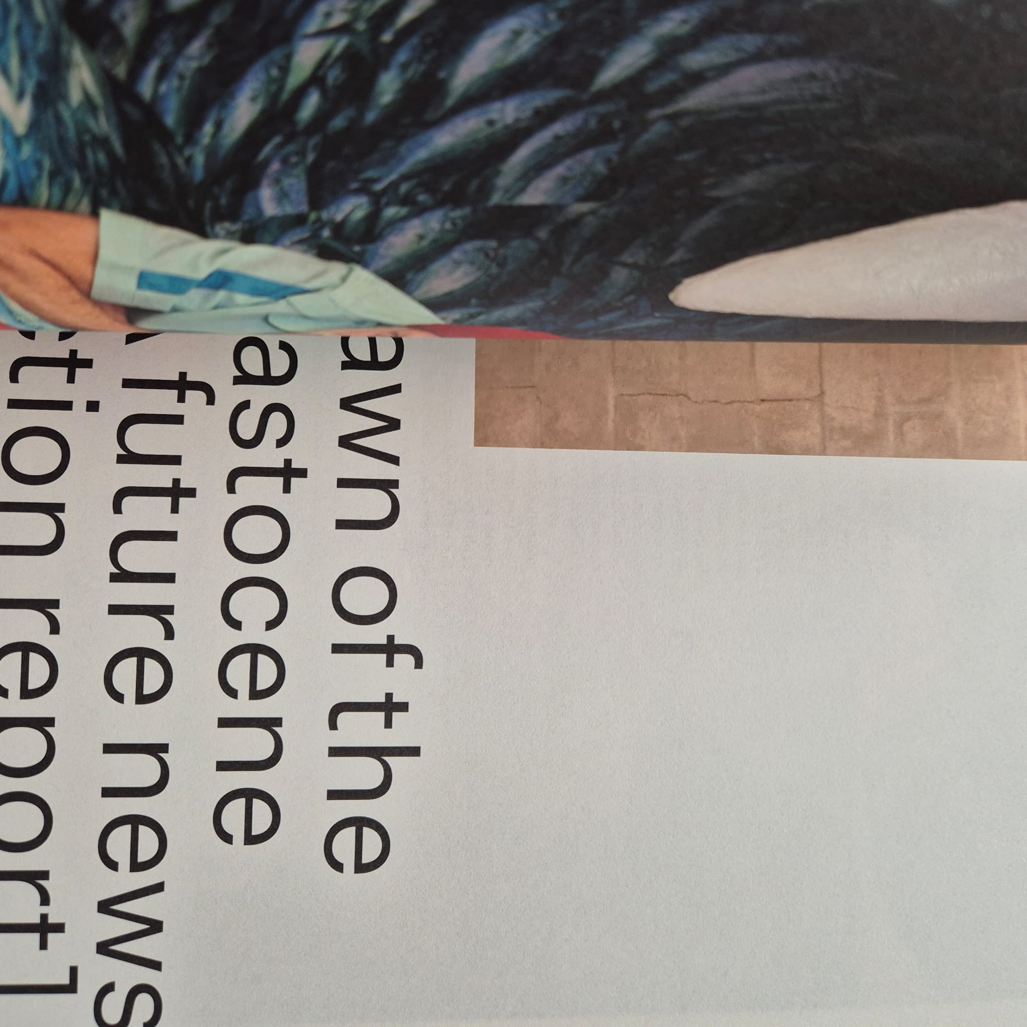 ‘NGV Triennial 2020 Book Four: Conservation’ by National Gallery of Victoria