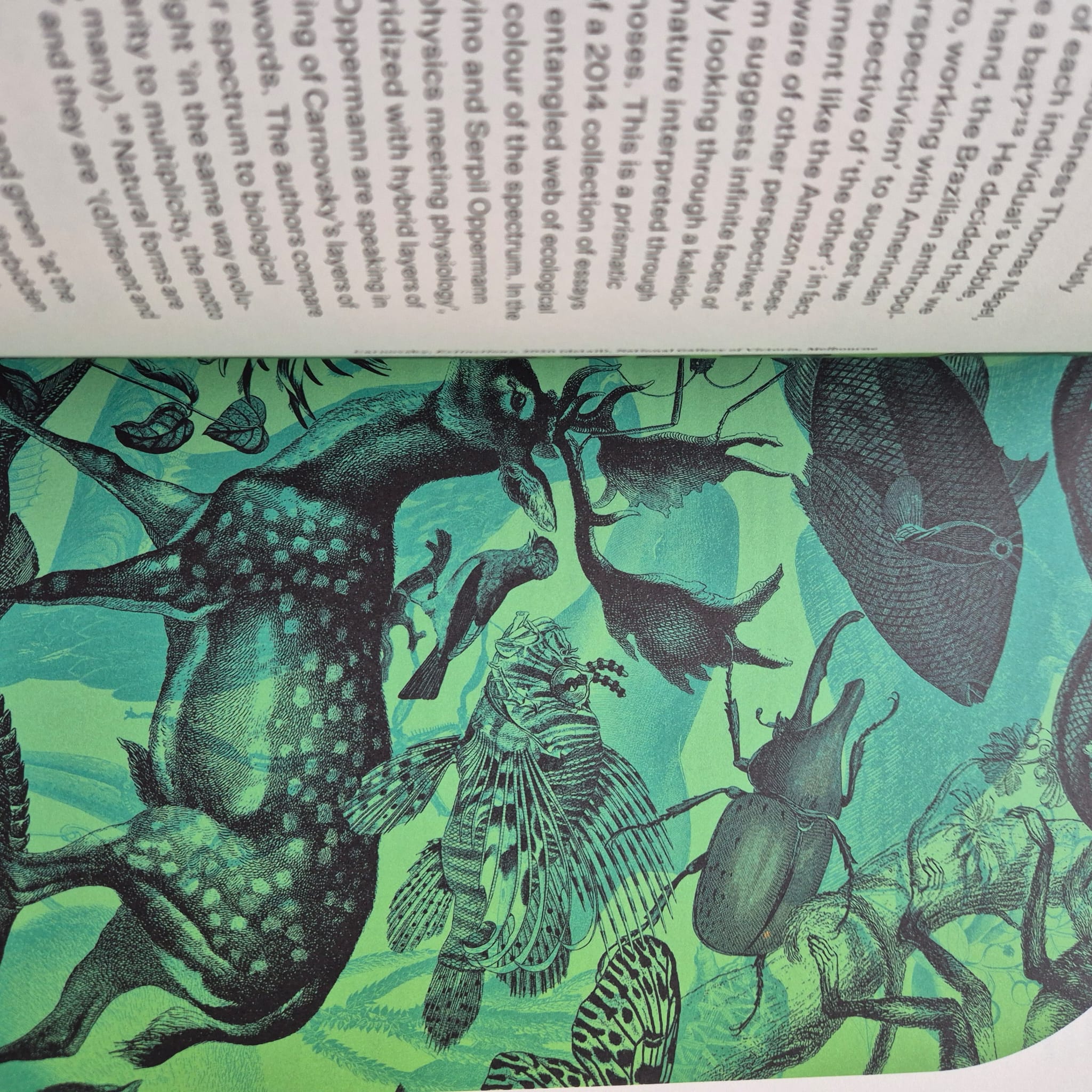 ‘NGV Triennial 2020 Book Four: Conservation’ by National Gallery of Victoria