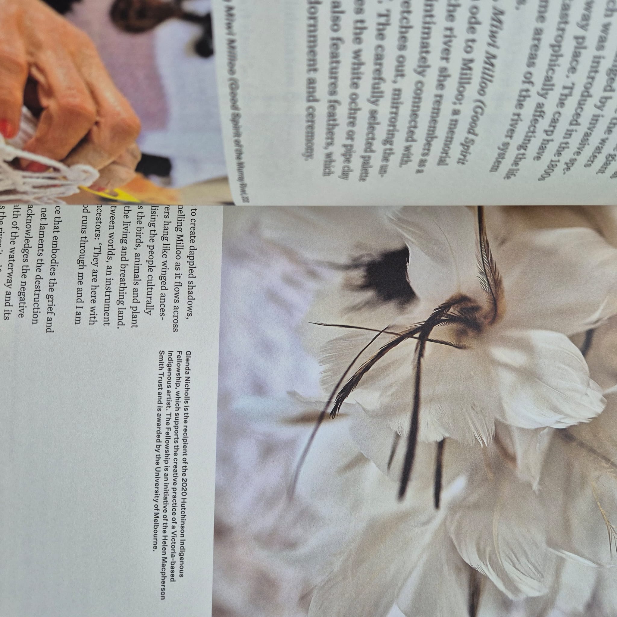 ‘NGV Triennial 2020 Book Four: Conservation’ by National Gallery of Victoria