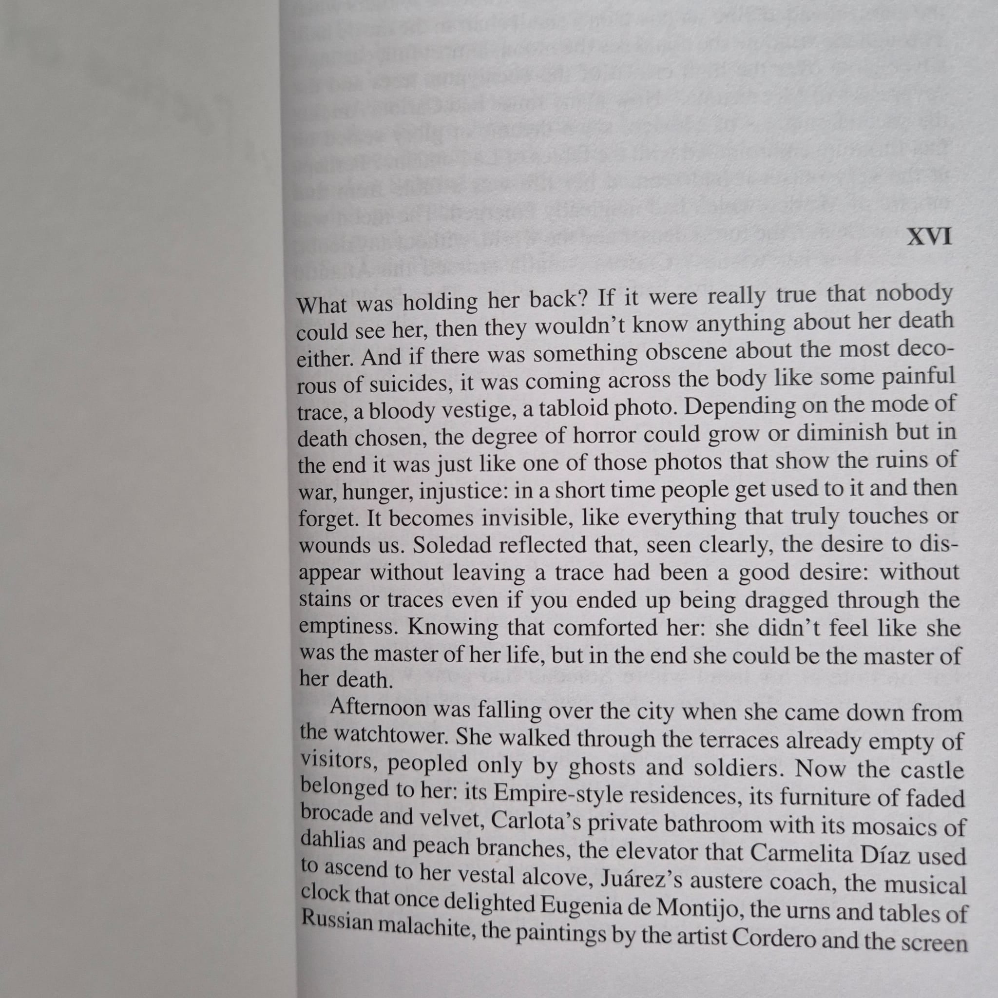 ‘Desire and Its Shadow’ by Ana Clavel